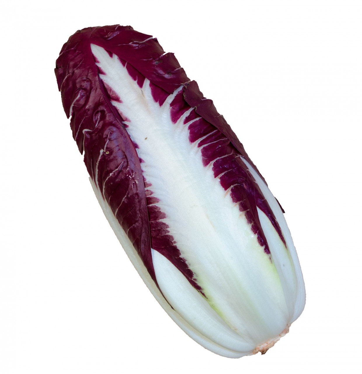 Trivisano_1280x1280 Trivisano