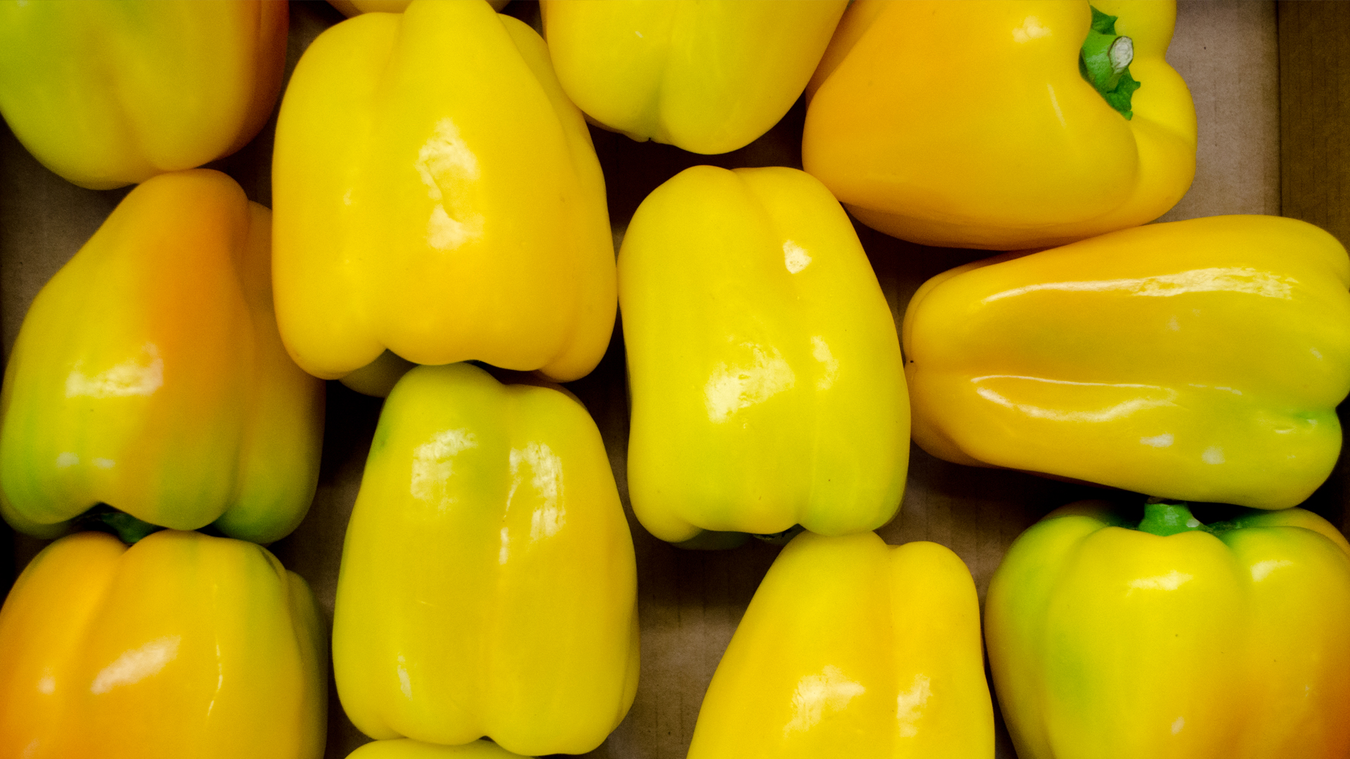 Bio-Paprika-gelb Paprika gelb 5kg