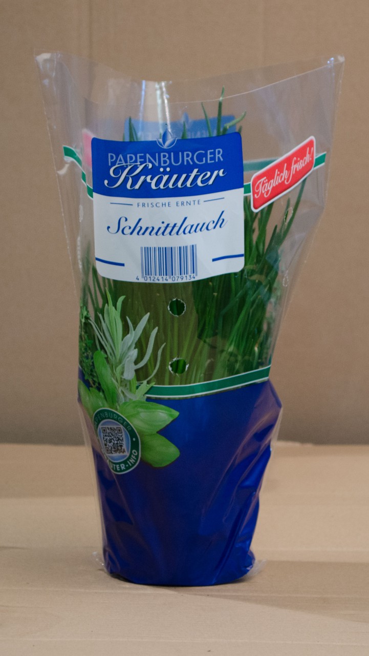 Schnittlauch-Topf_1280x1280