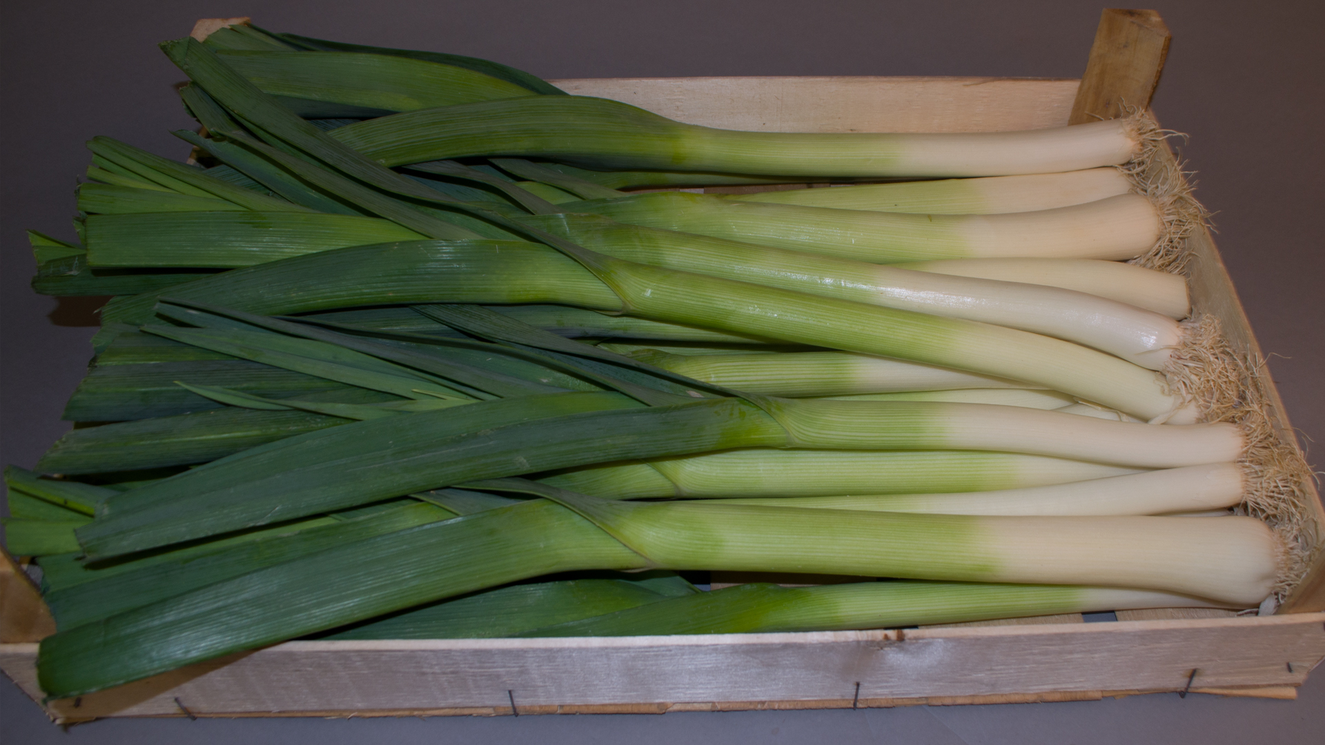 Porree-5-kg-Kiste Porree 10kg