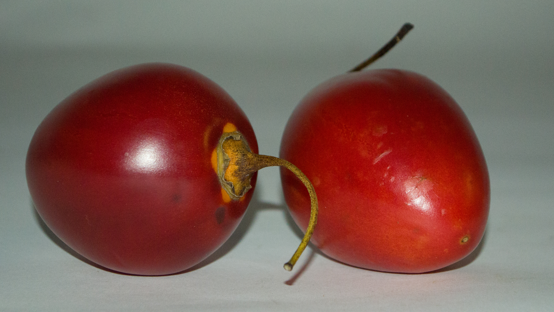 tamarillo-stueck