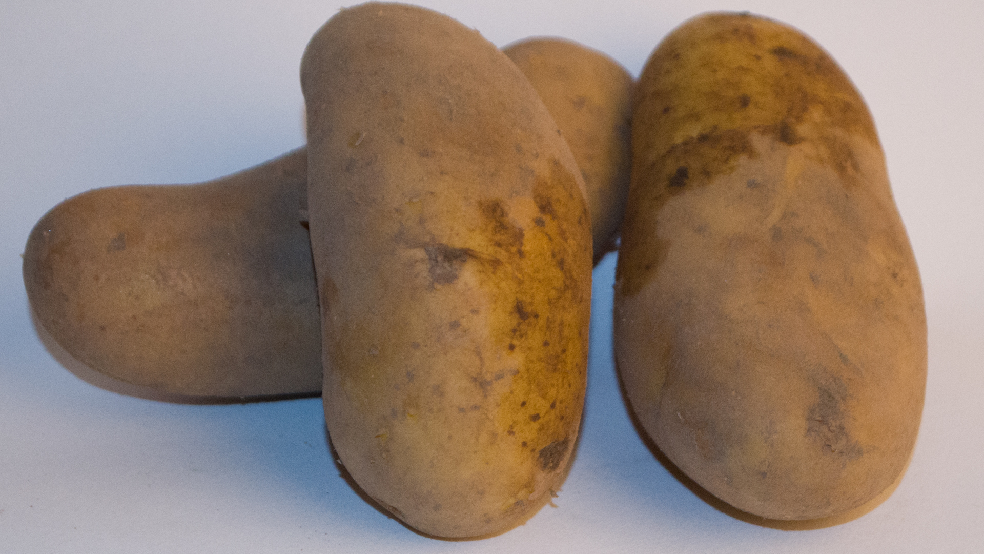 Kartoffel Cilena übergroß-Sack