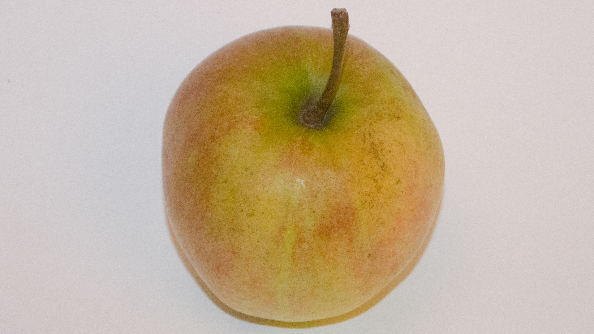 Apfel Sapora Kiste