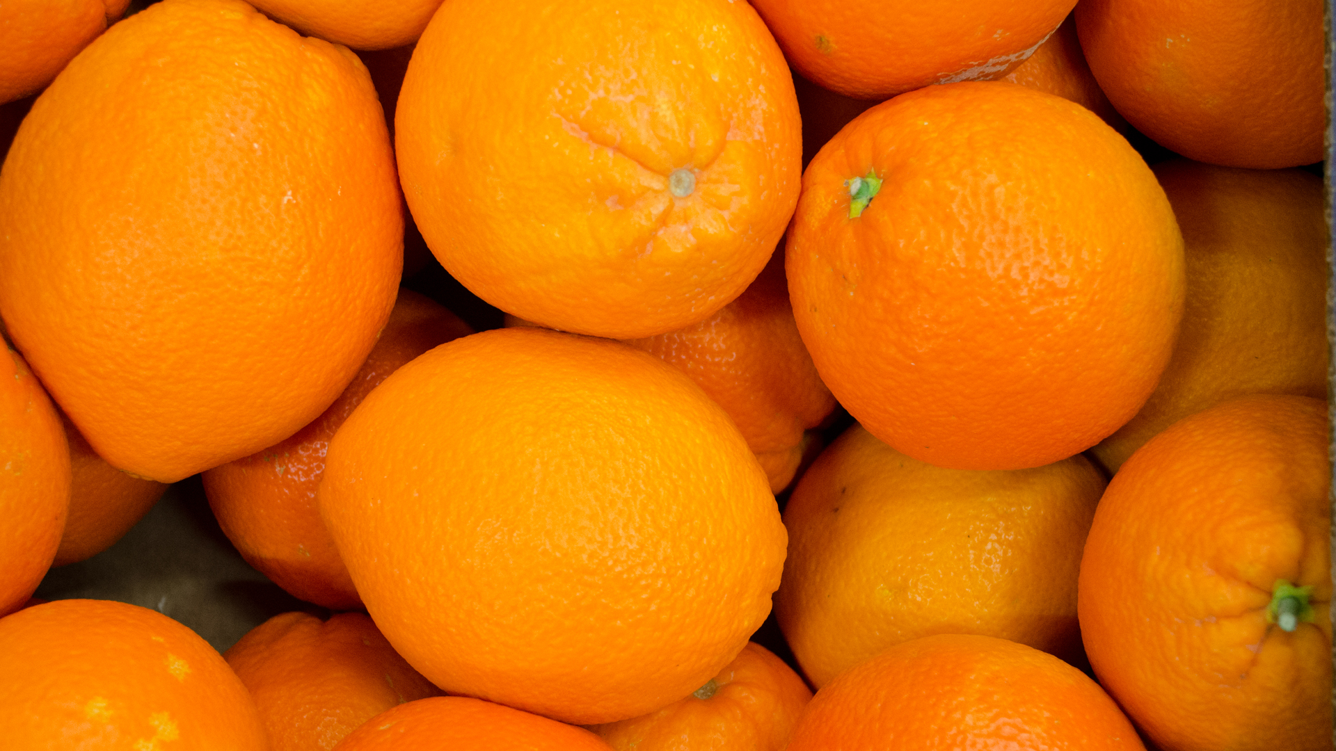 Bio-Orangen-Navel Bio Orangen Navelina 10 kg Kiste