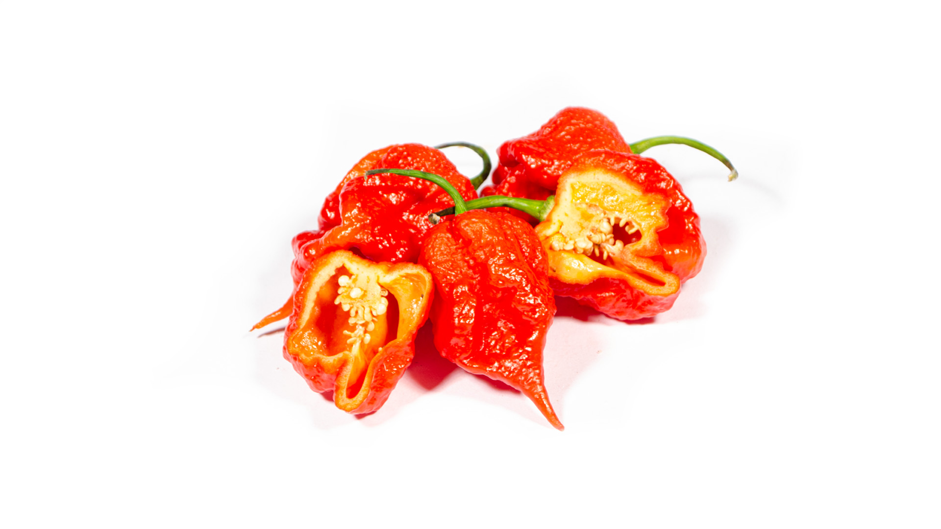 Pfeffer Carolina Reaper