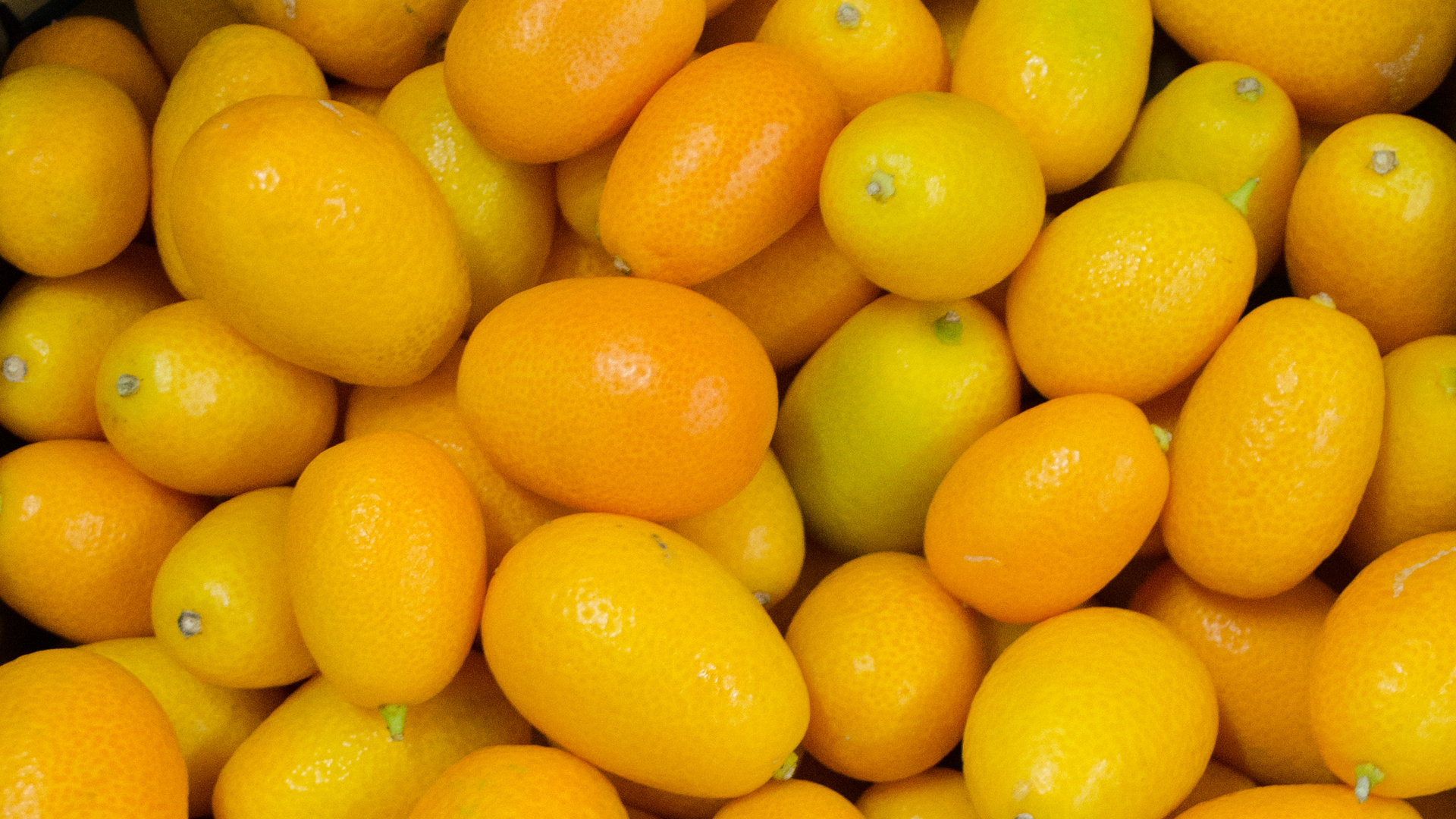 Kumquats kg