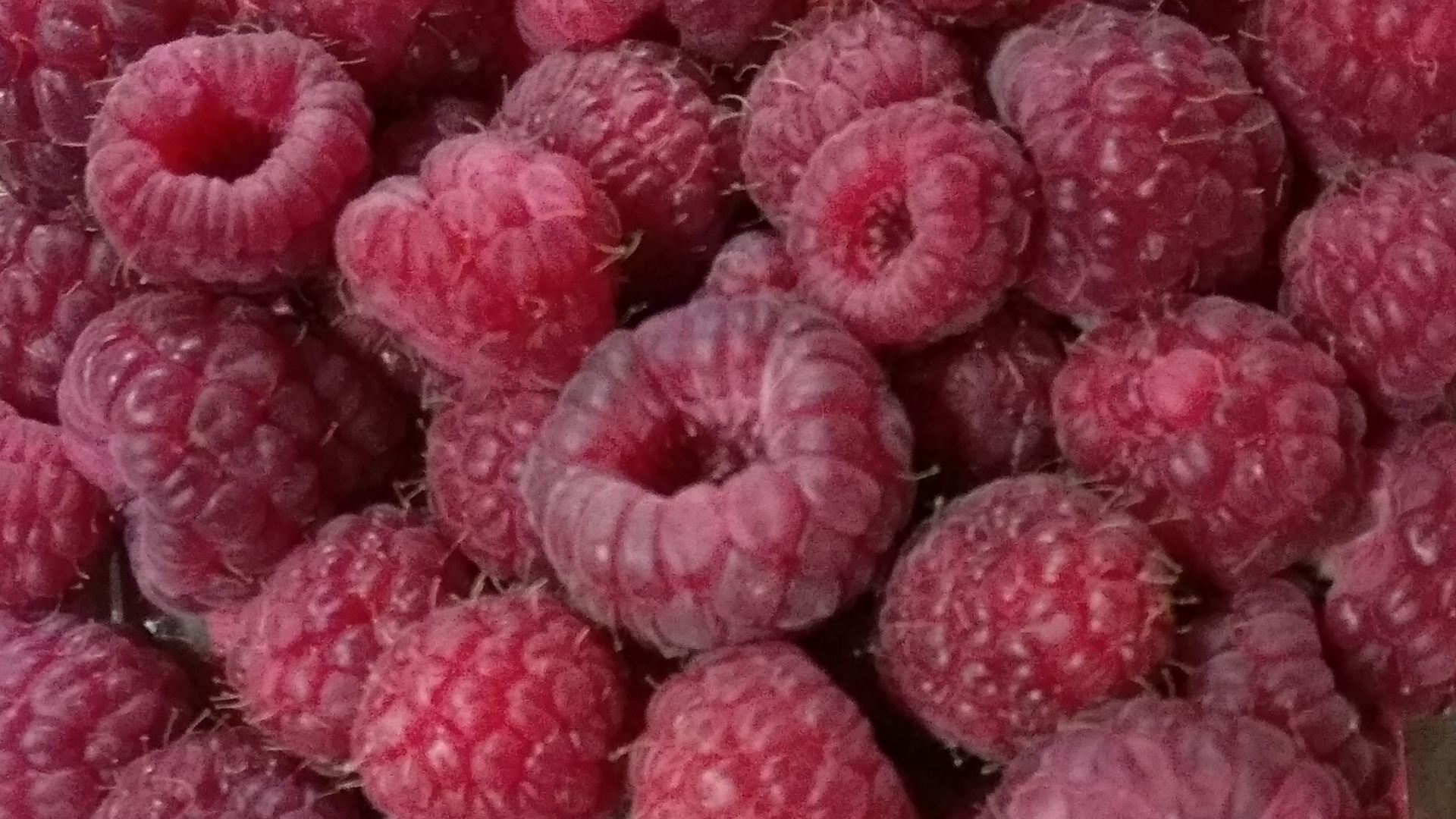 Himbeeren