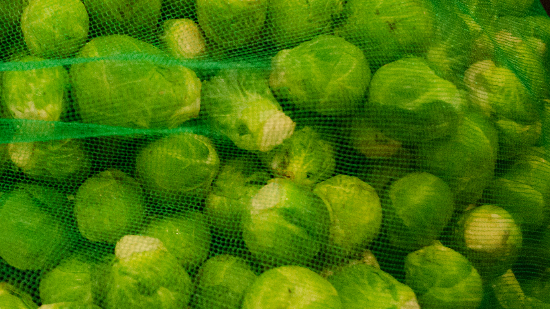 rosenkohl-sack-deutschland Rosenkohl