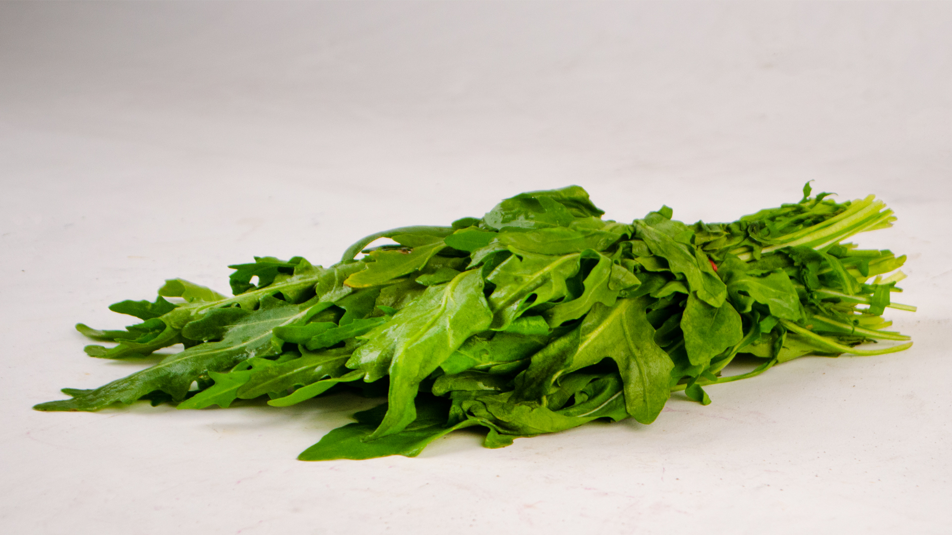 Rucola Rauke Ruccola Bund