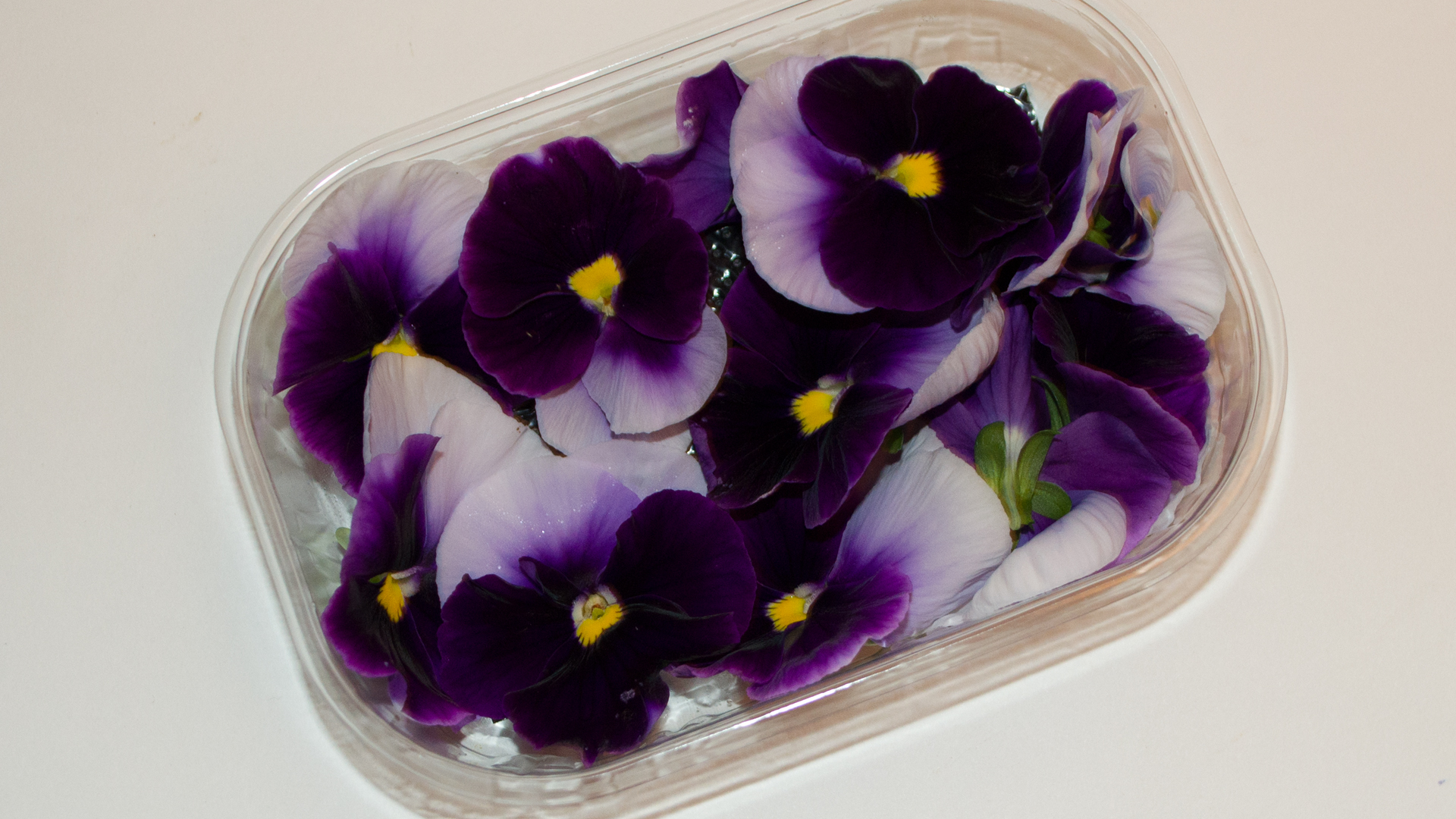 Stiefmütterchen lila weiss - Essbare Blüten
