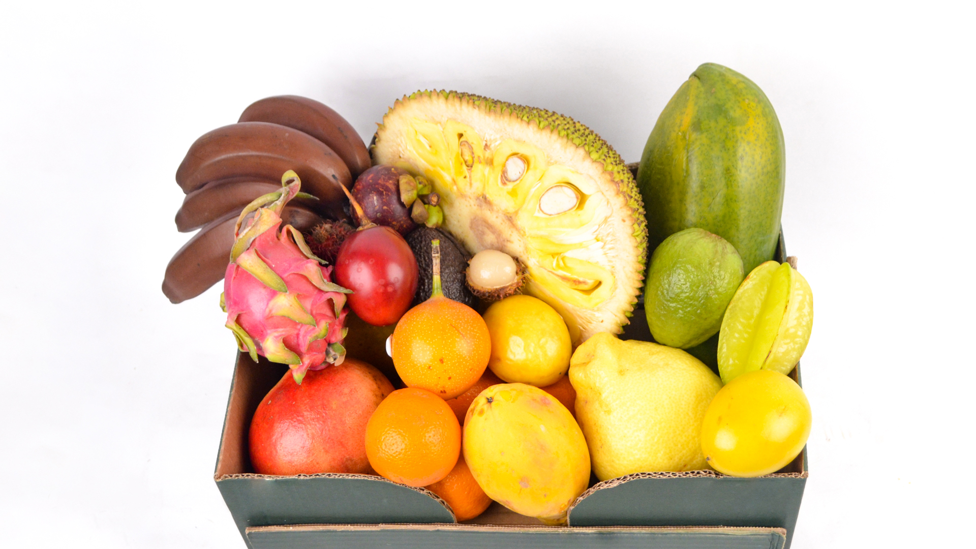 ObstboxiqcAib7OjJvZU