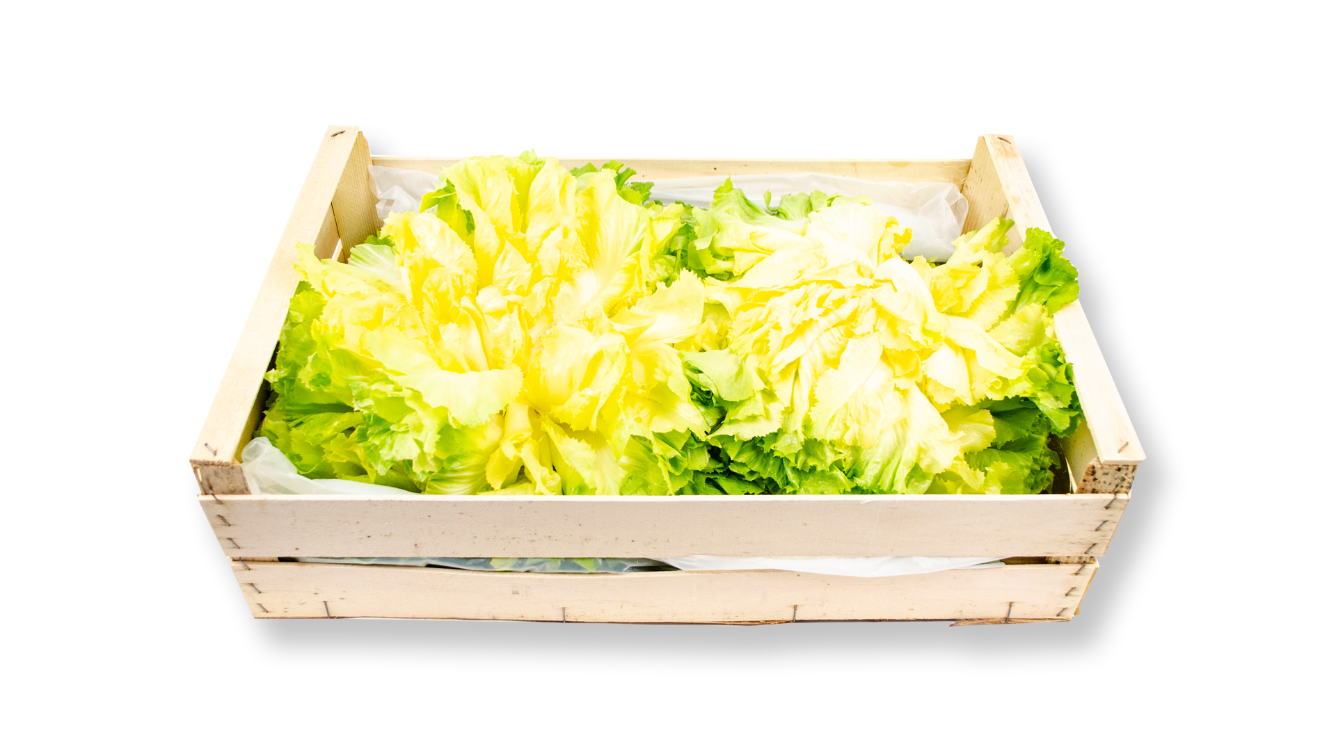 Endivien-kiste-aus-frankreich