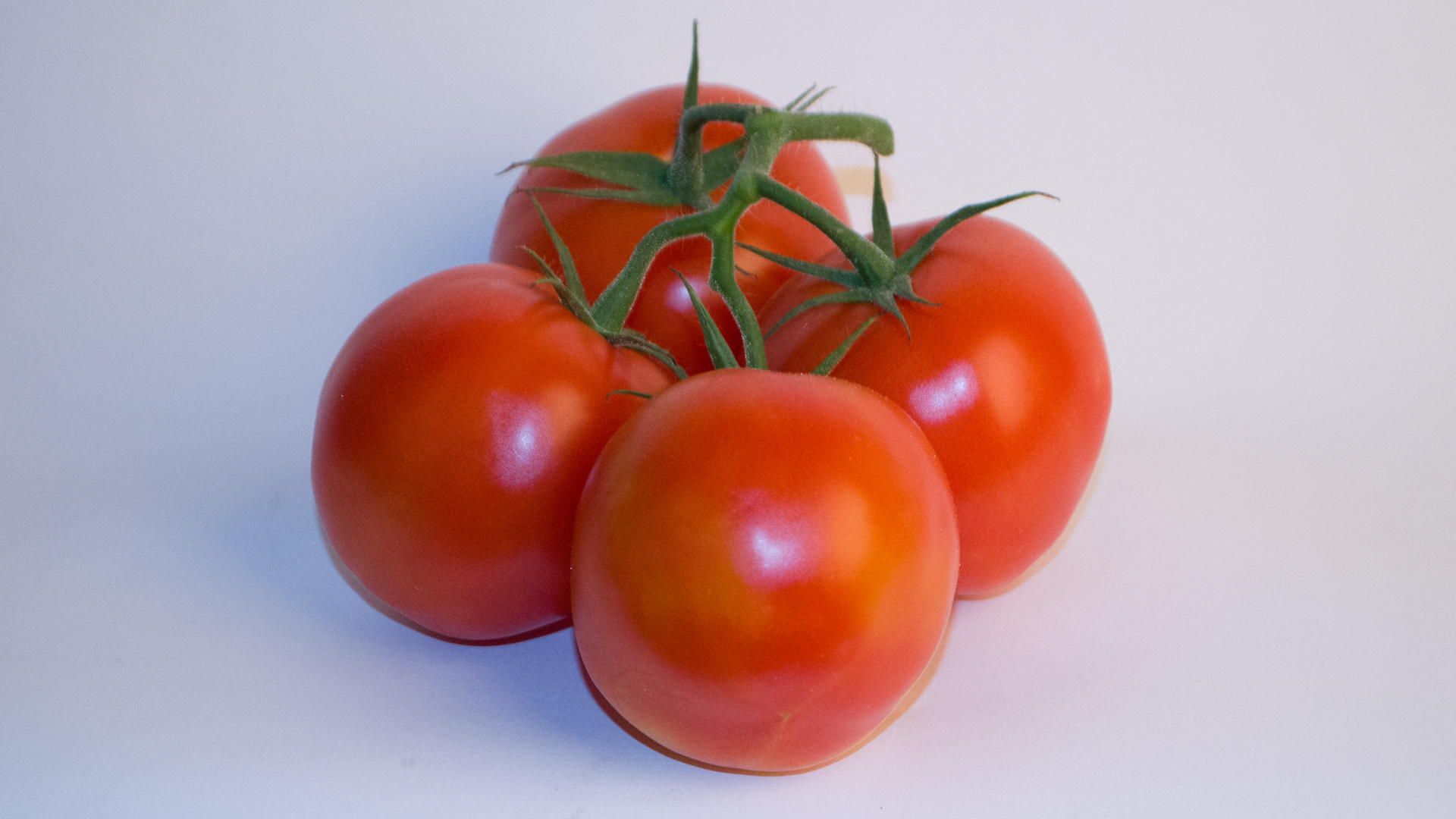 Tomaten "Strauch" NL