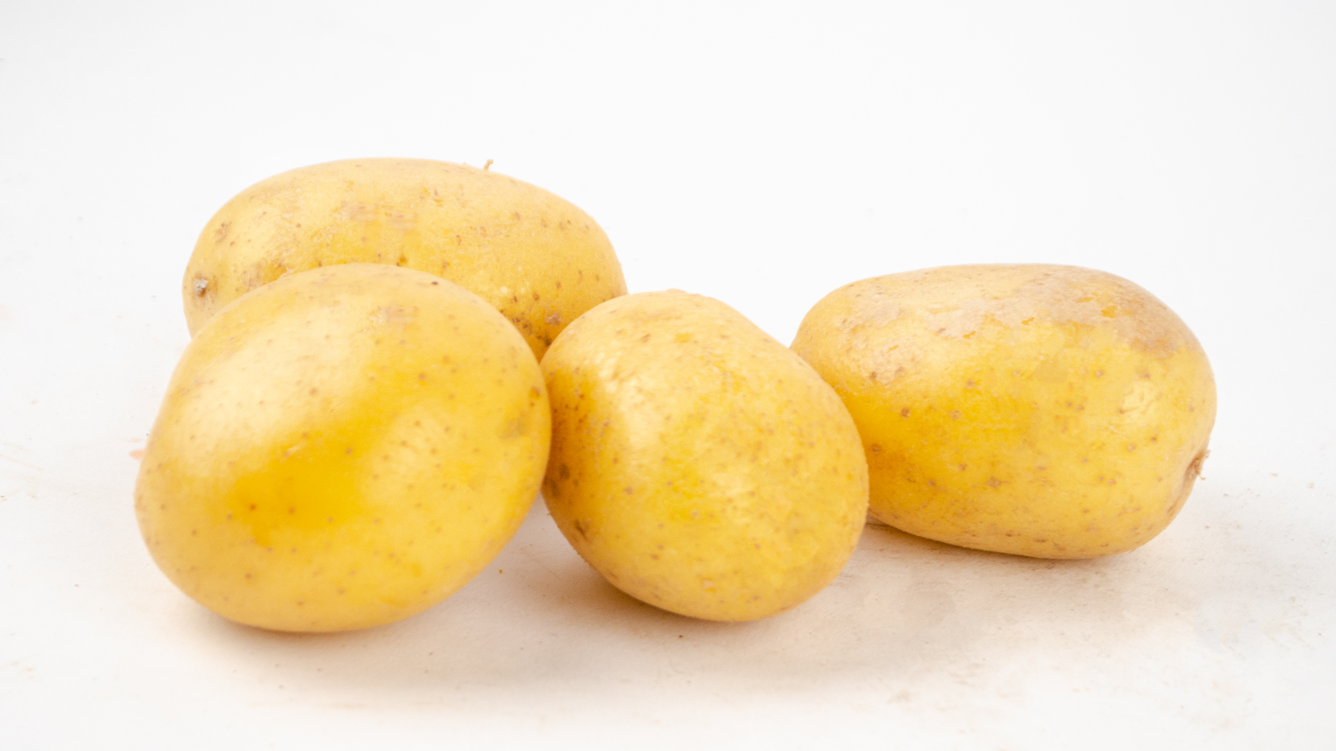 Kartoffel Belana Sack-Übergröße Neue Ernte