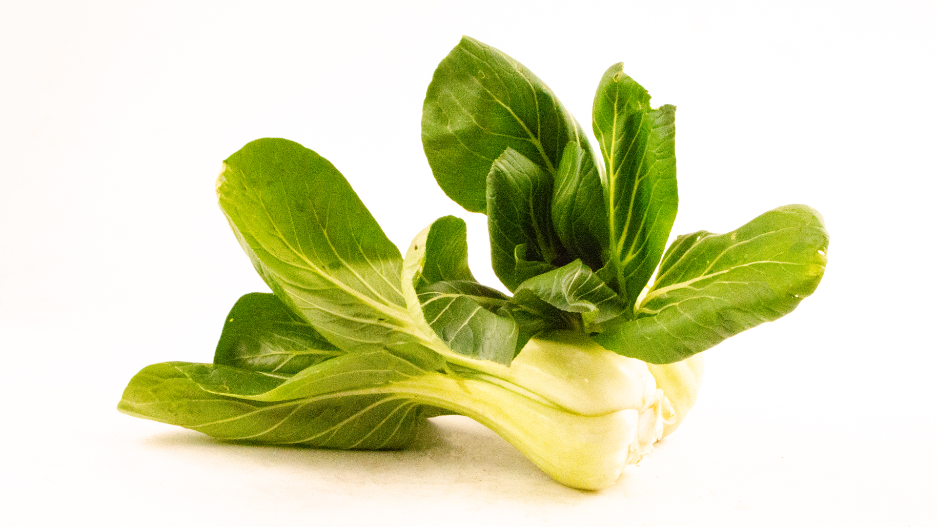 Pak Choi