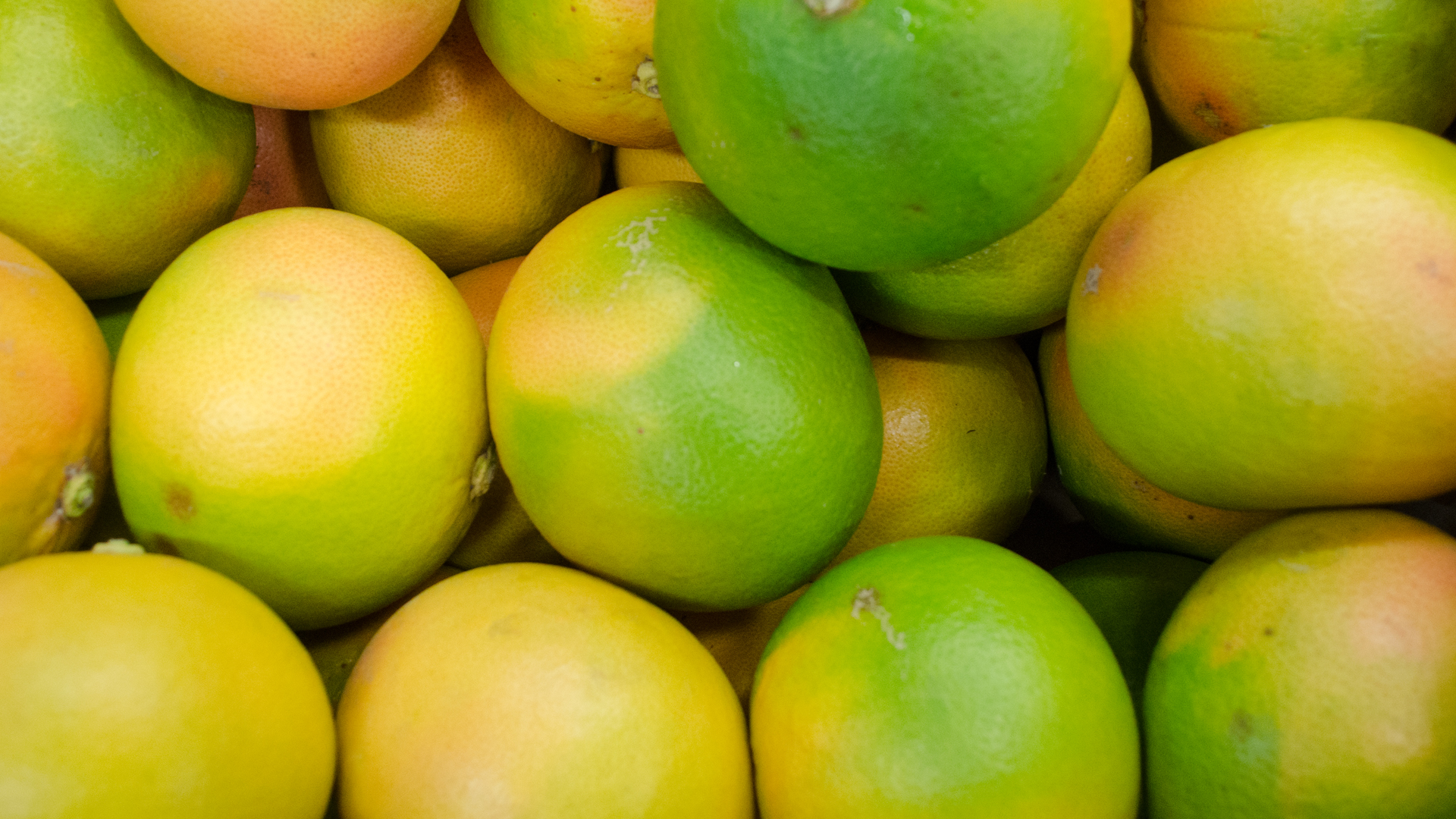 bio-grapefruit-kiste