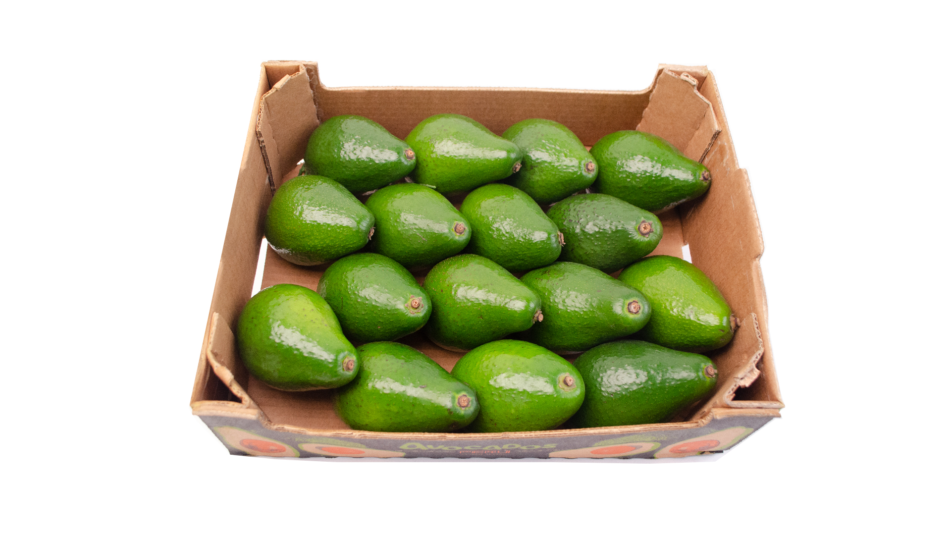 Avocado grün Zutano Kiste
