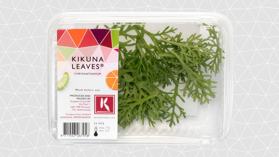 leaves-kikuna-leaves-tray-16-9