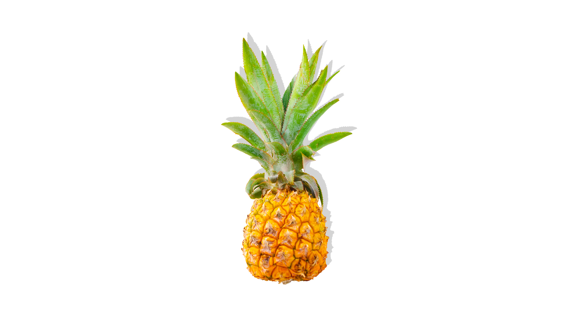 Mini Ananas