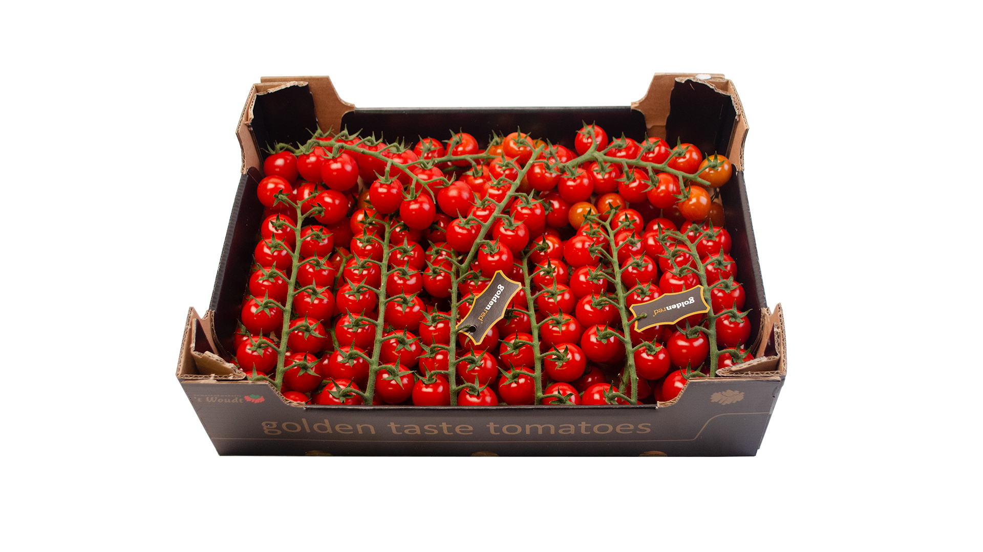 Golden Taste Tomaten (Cherry Strauch) Kiste