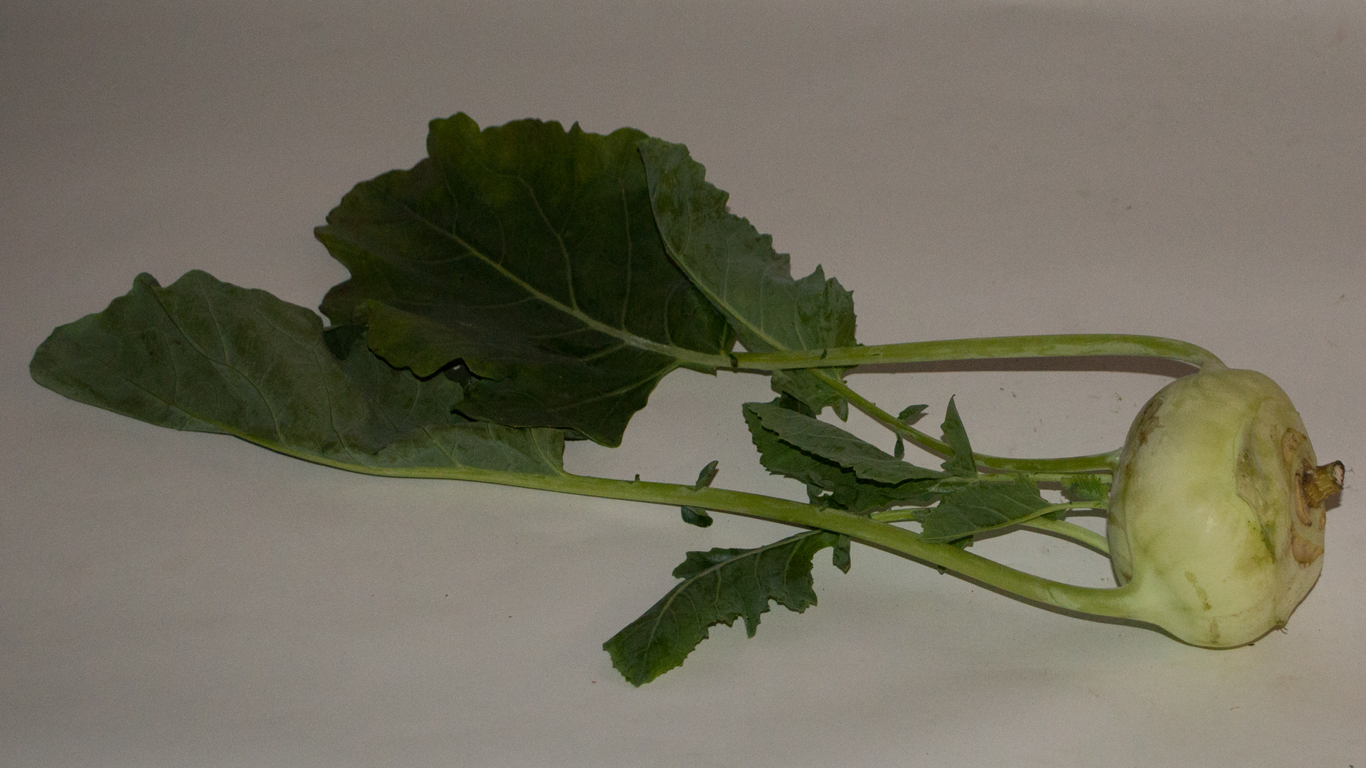 kohlrabi-stueck-deutschland Kohlrabi