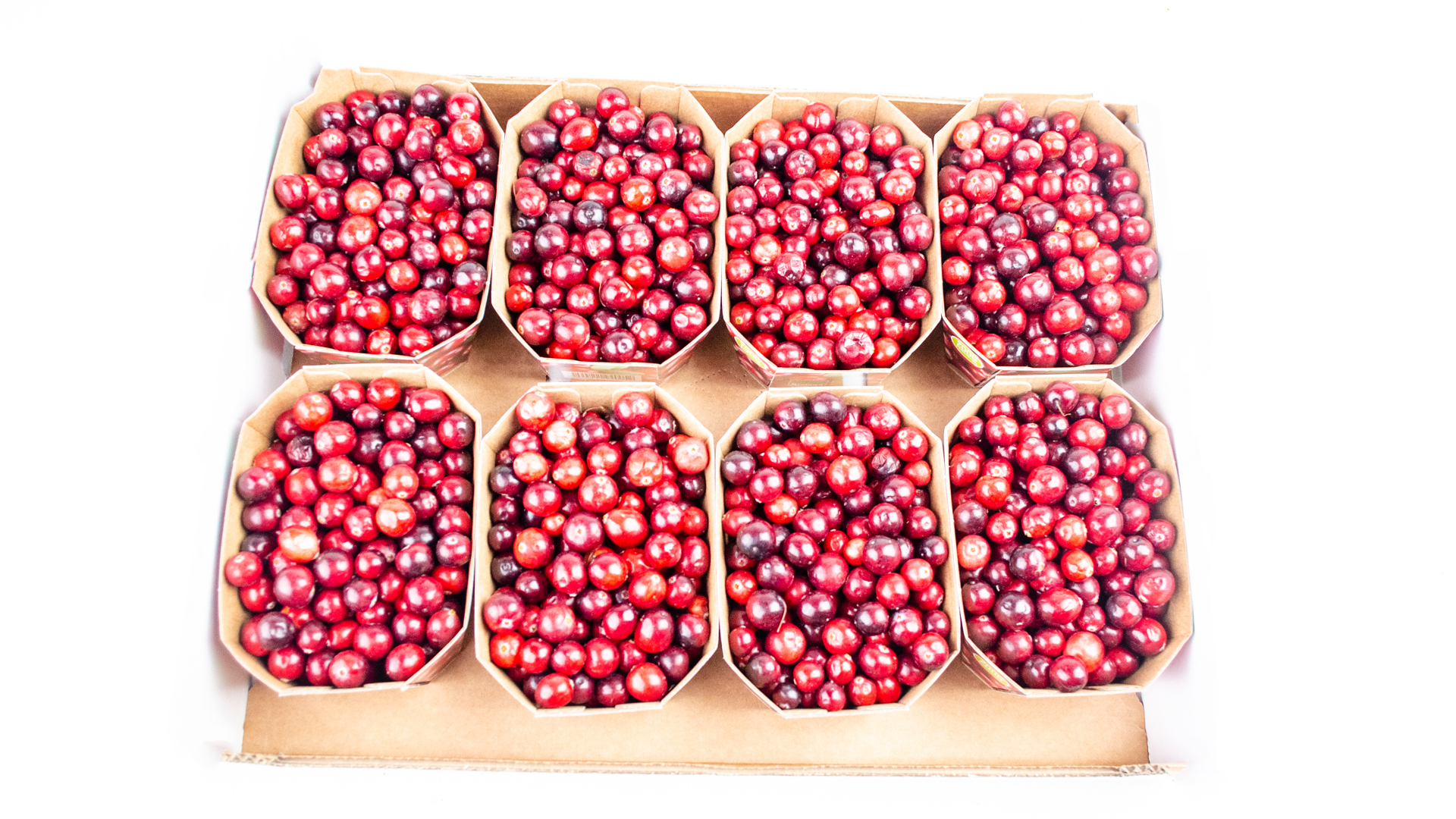 Bio Cranberries Kiste