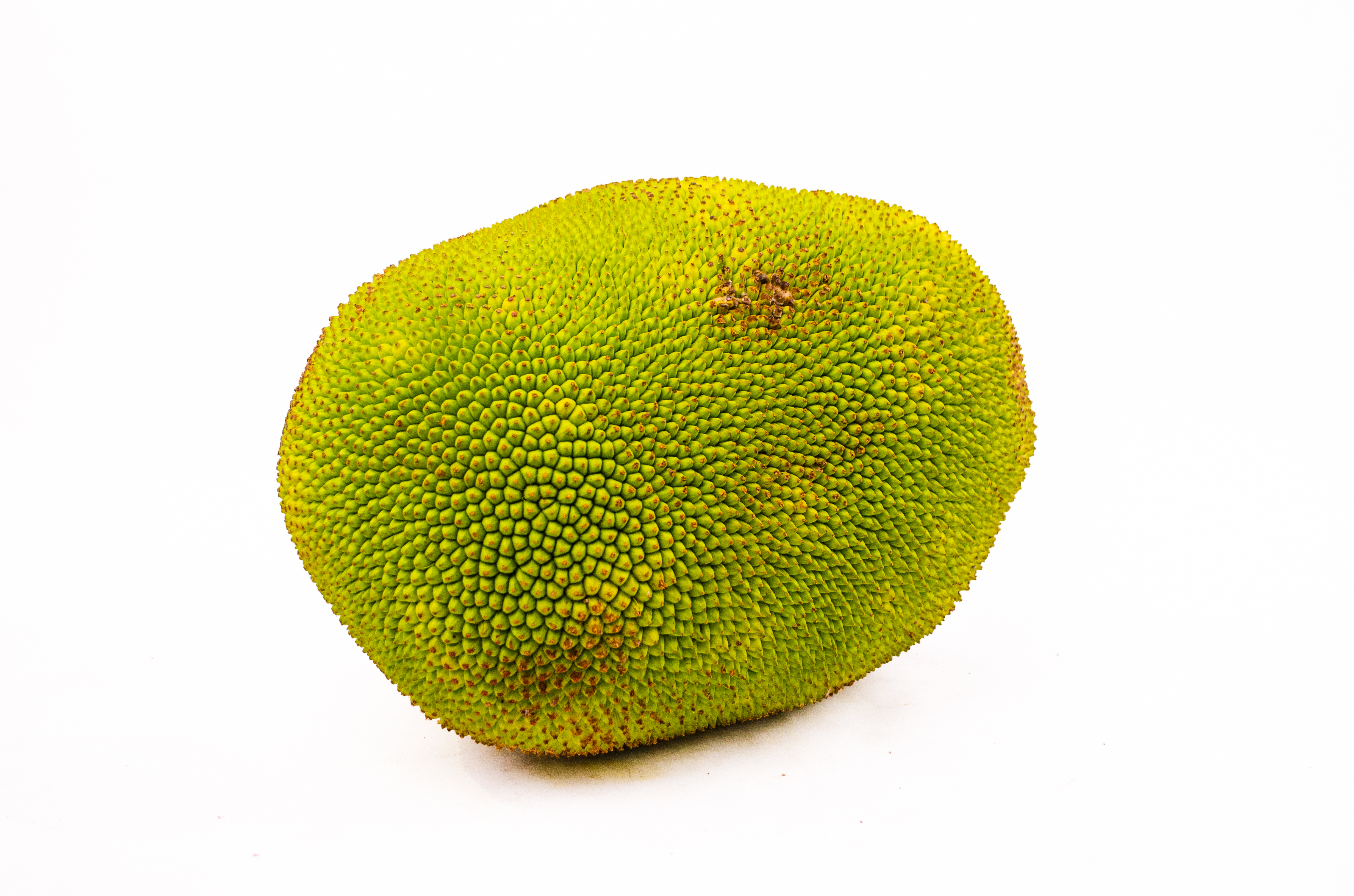jackfruit-ganz