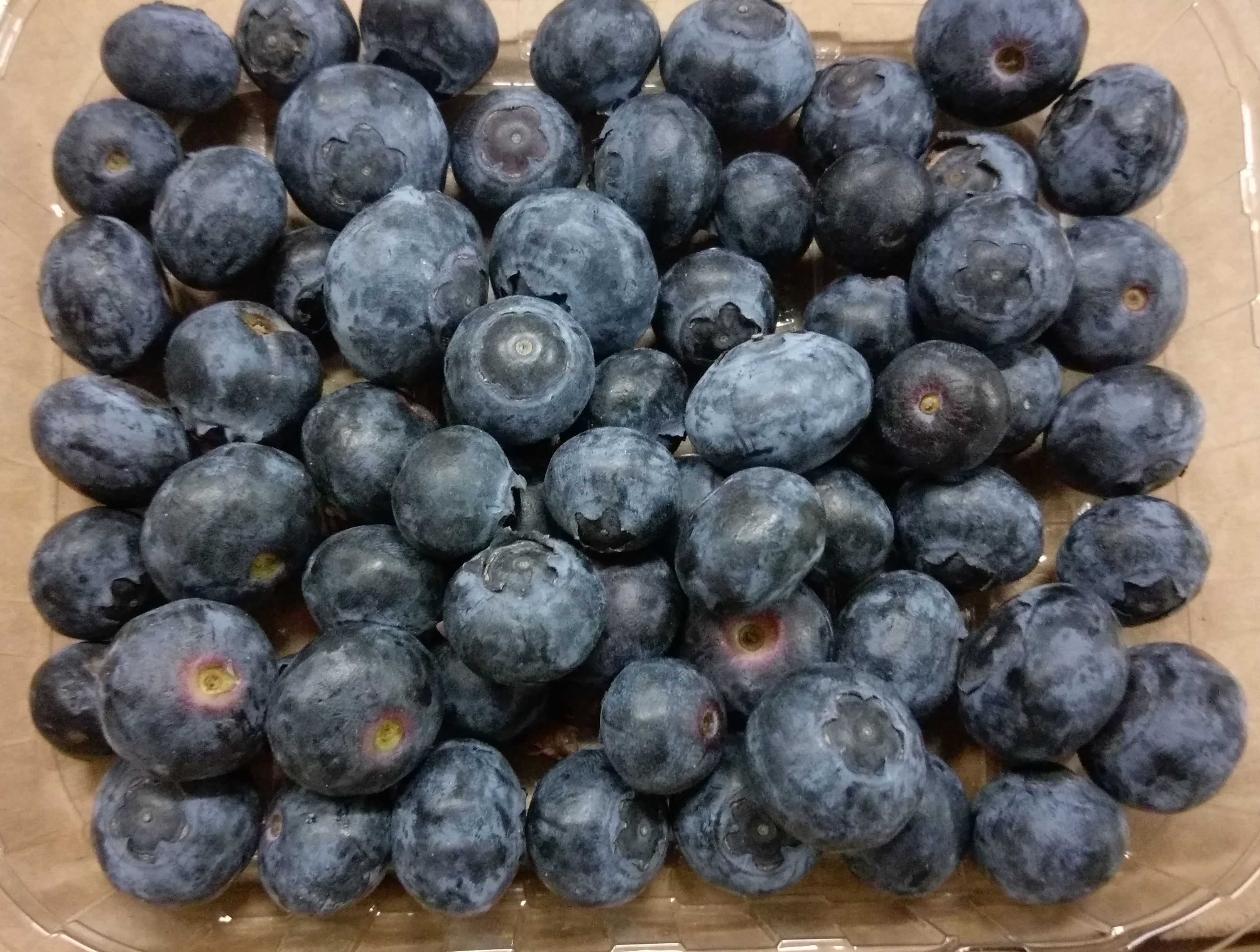 Bio Blaubeeren / Heidelbeeren Kiste