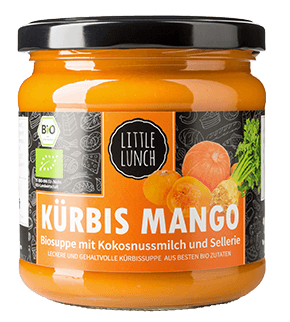 BIO Kürbis Mango Suppe