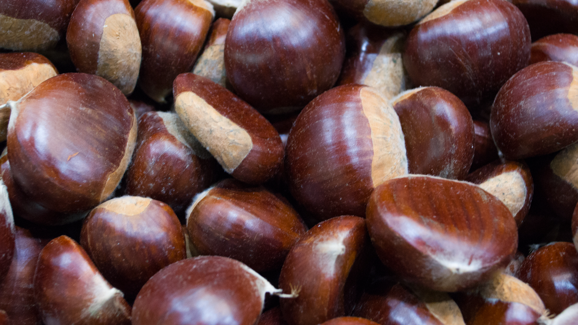 Maronen-esskastanien-lose Maronen Esskastanien