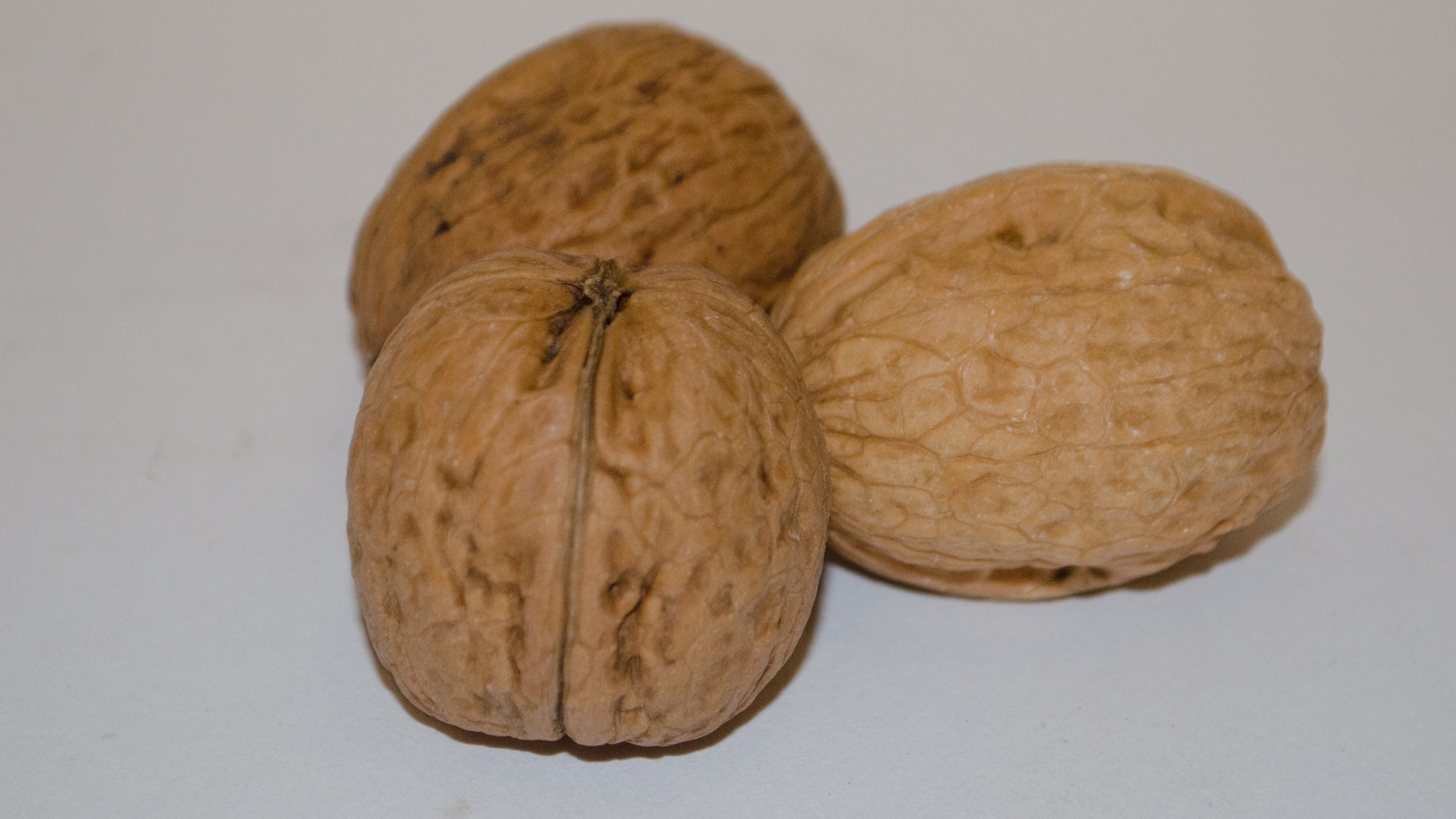 walnuss-32-frankreich-grenoble Bio Walnuss 30-32 mit Schale