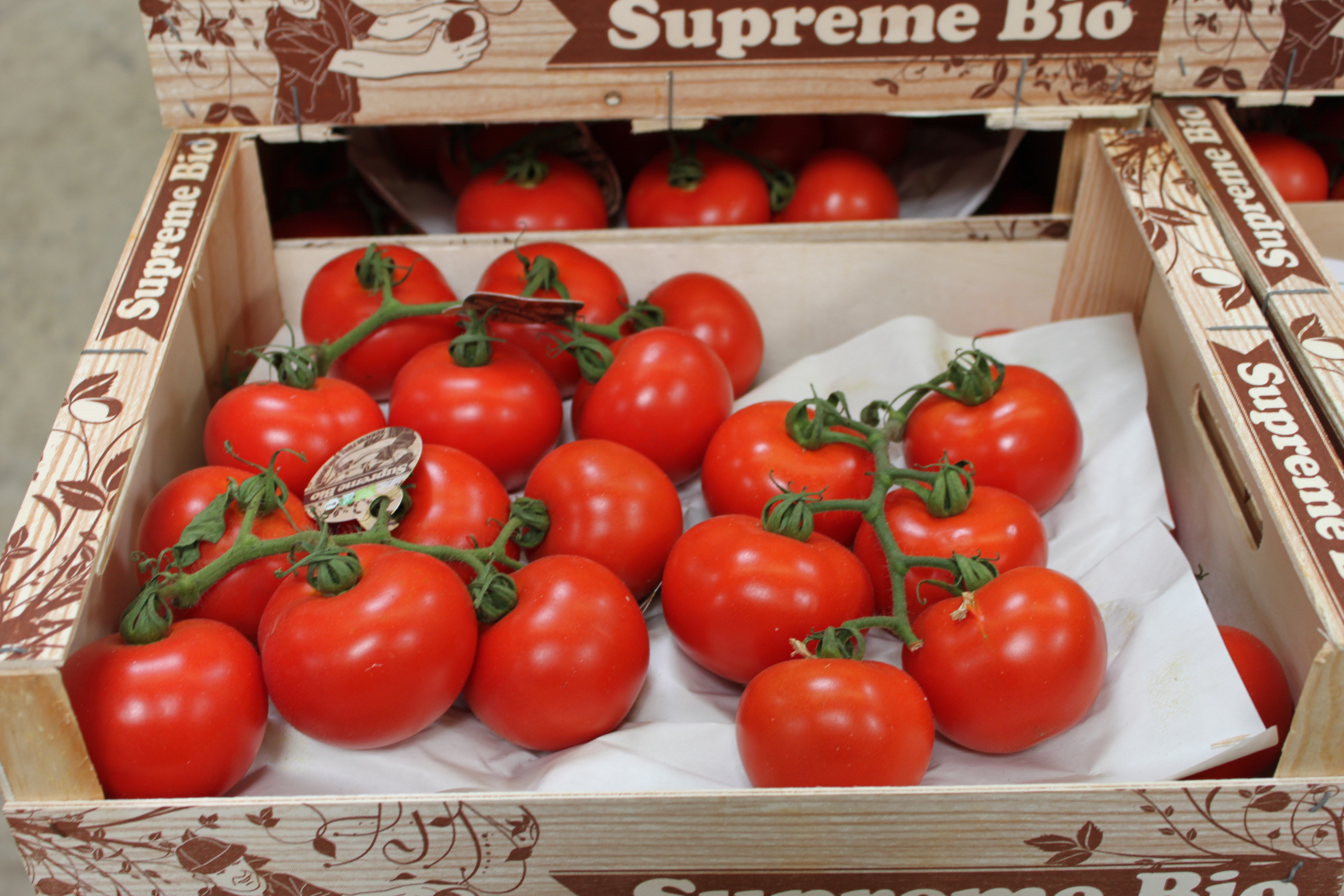 Bio Tomaten Kiste
