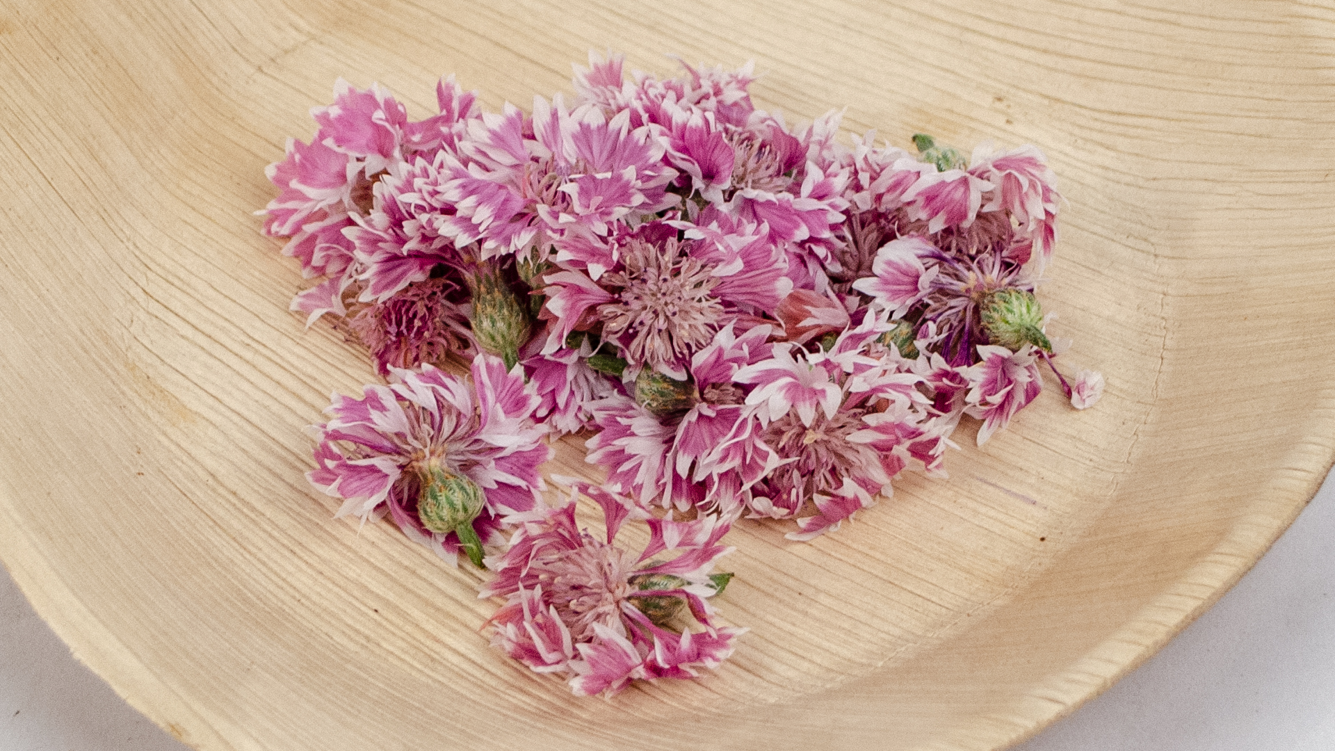 Kornblumen rot weiss Essbare Blüten