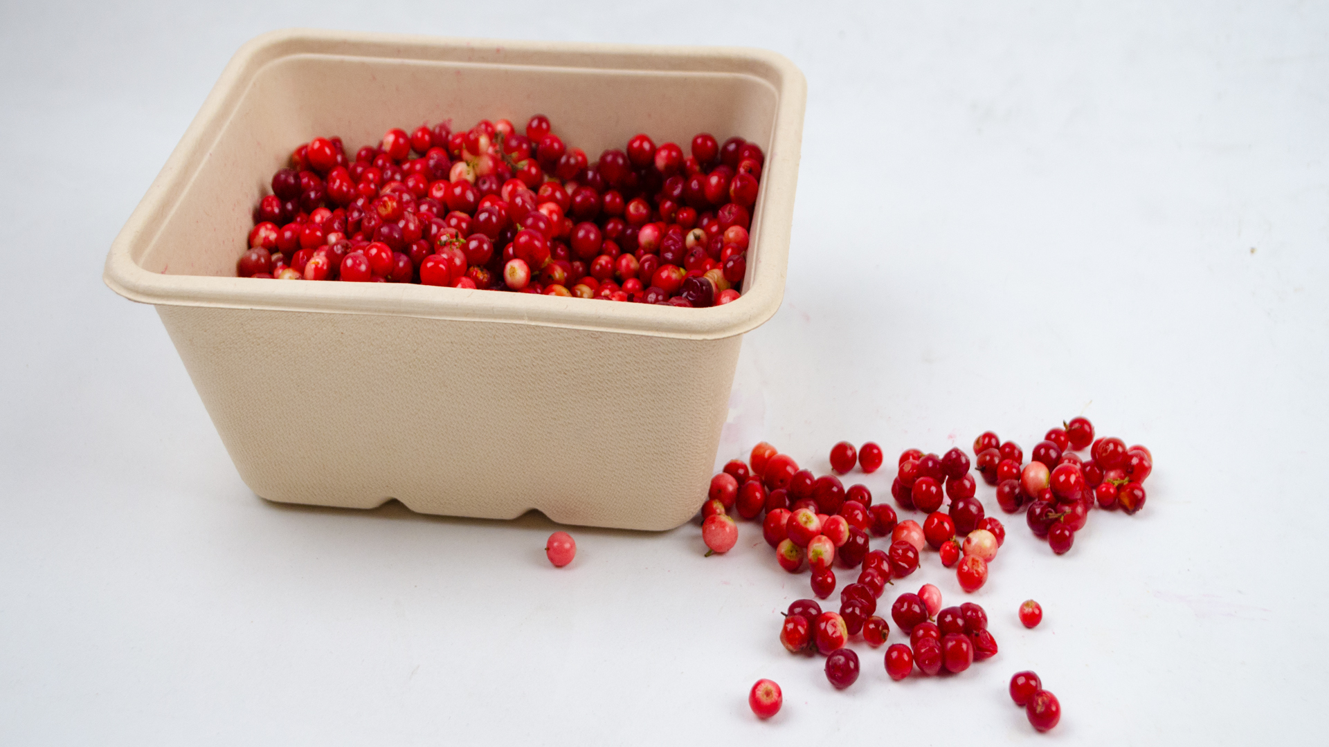 Preiselbeeren Preiselbeeren