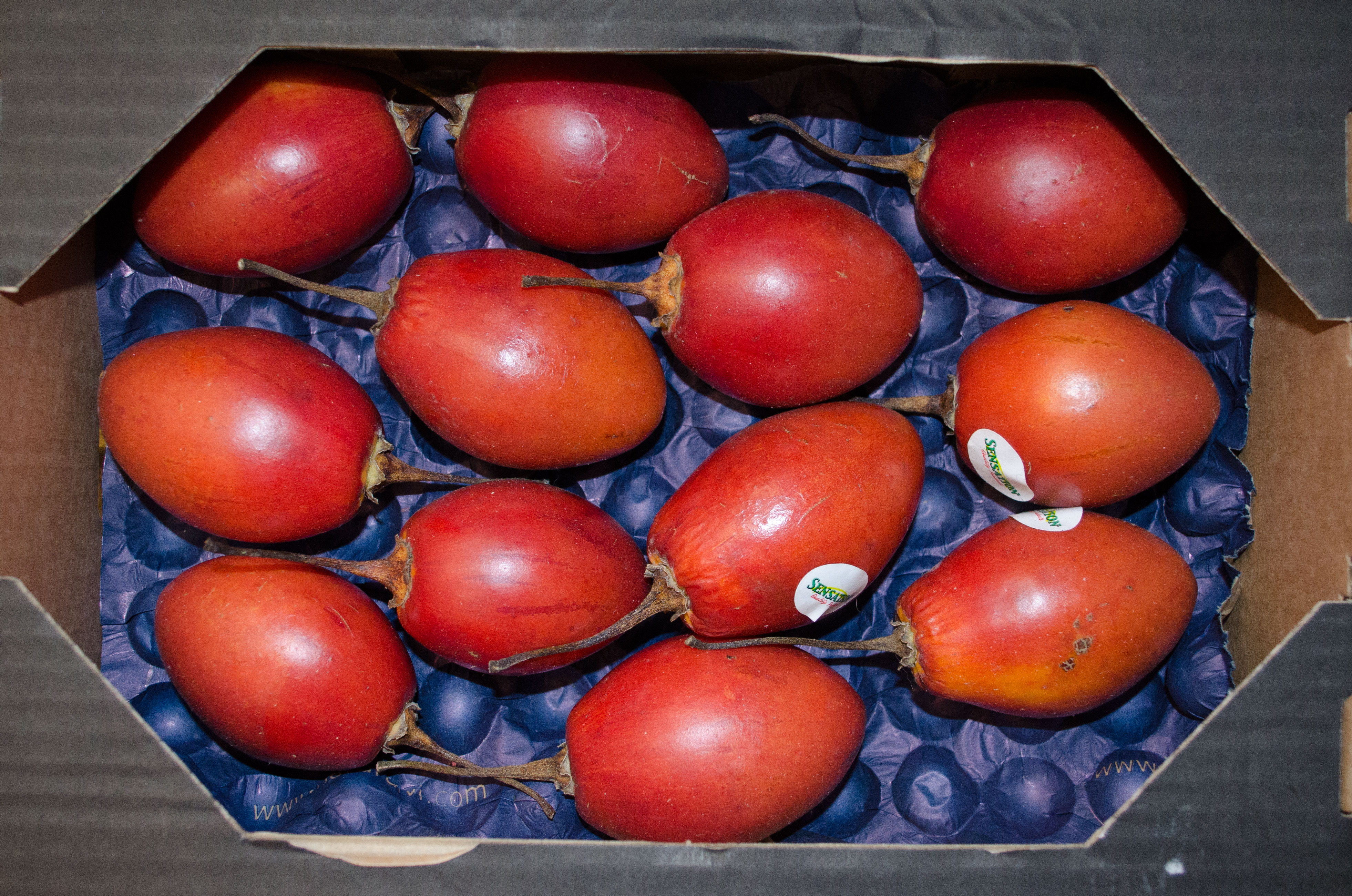 Tamarillo