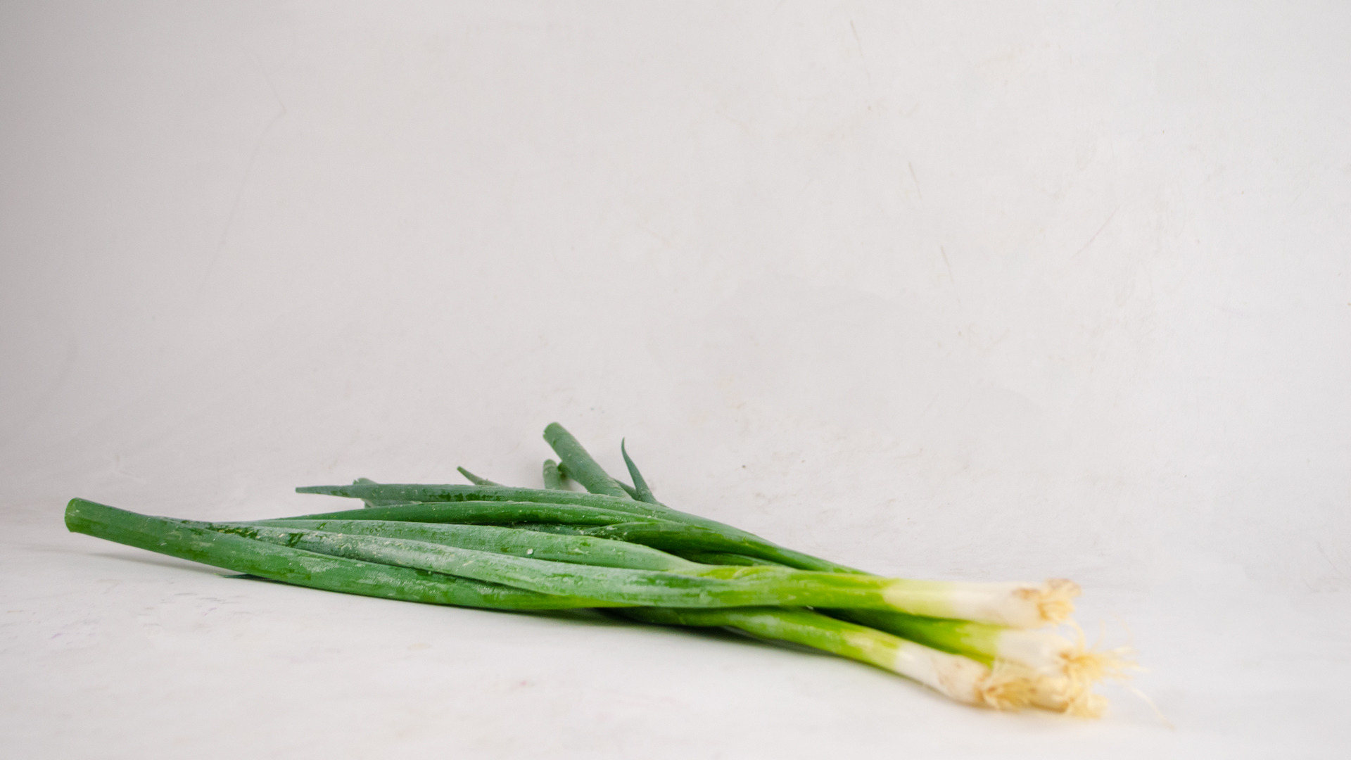 Lauchzwiebel Lauchzwiebeln