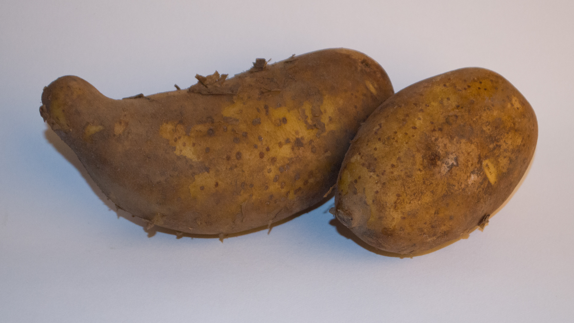 Kartoffel Cilena normal