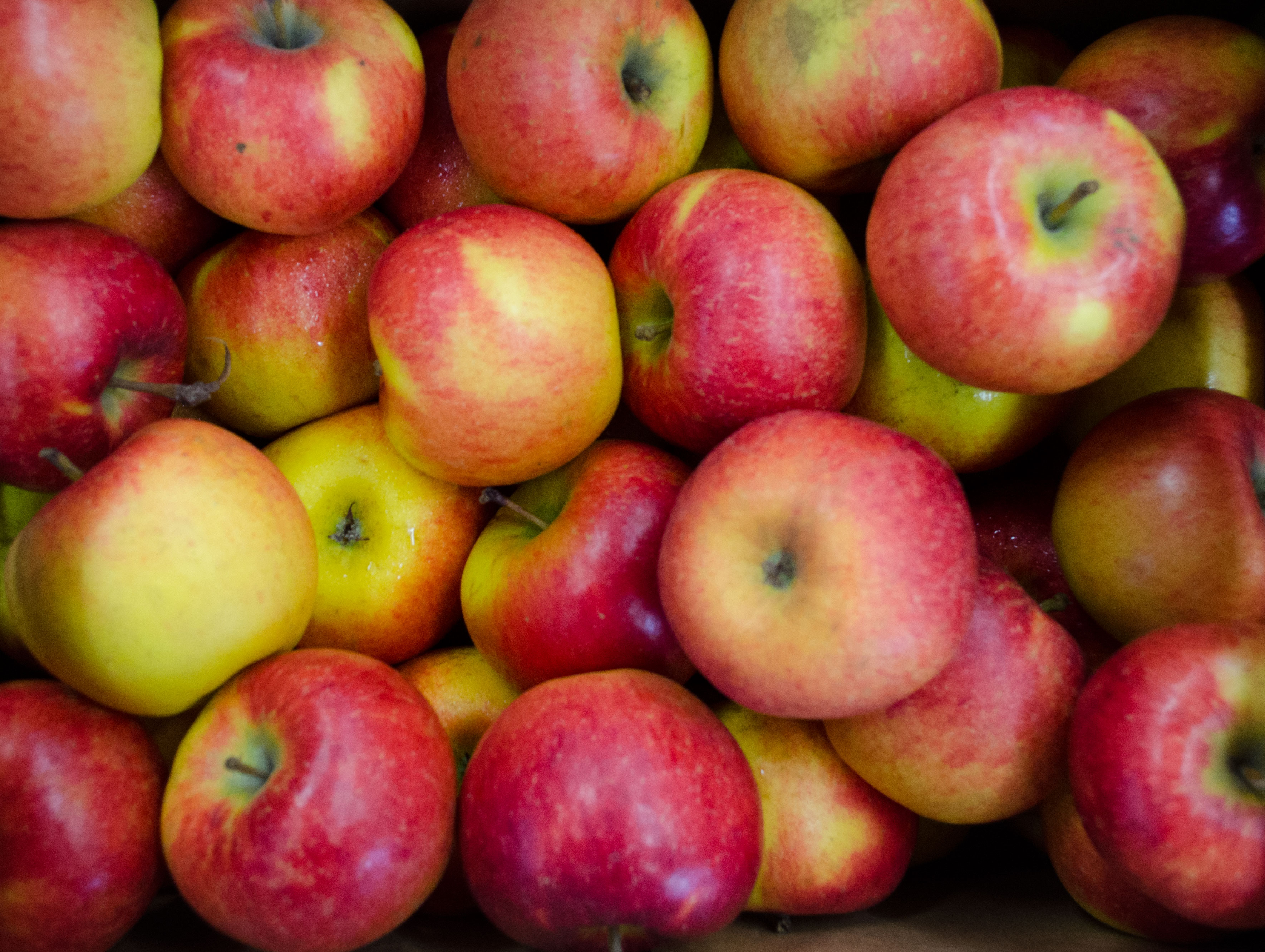 Bio Apfel Antares Online Bestellen bio-apfel-antares-online-bestellen