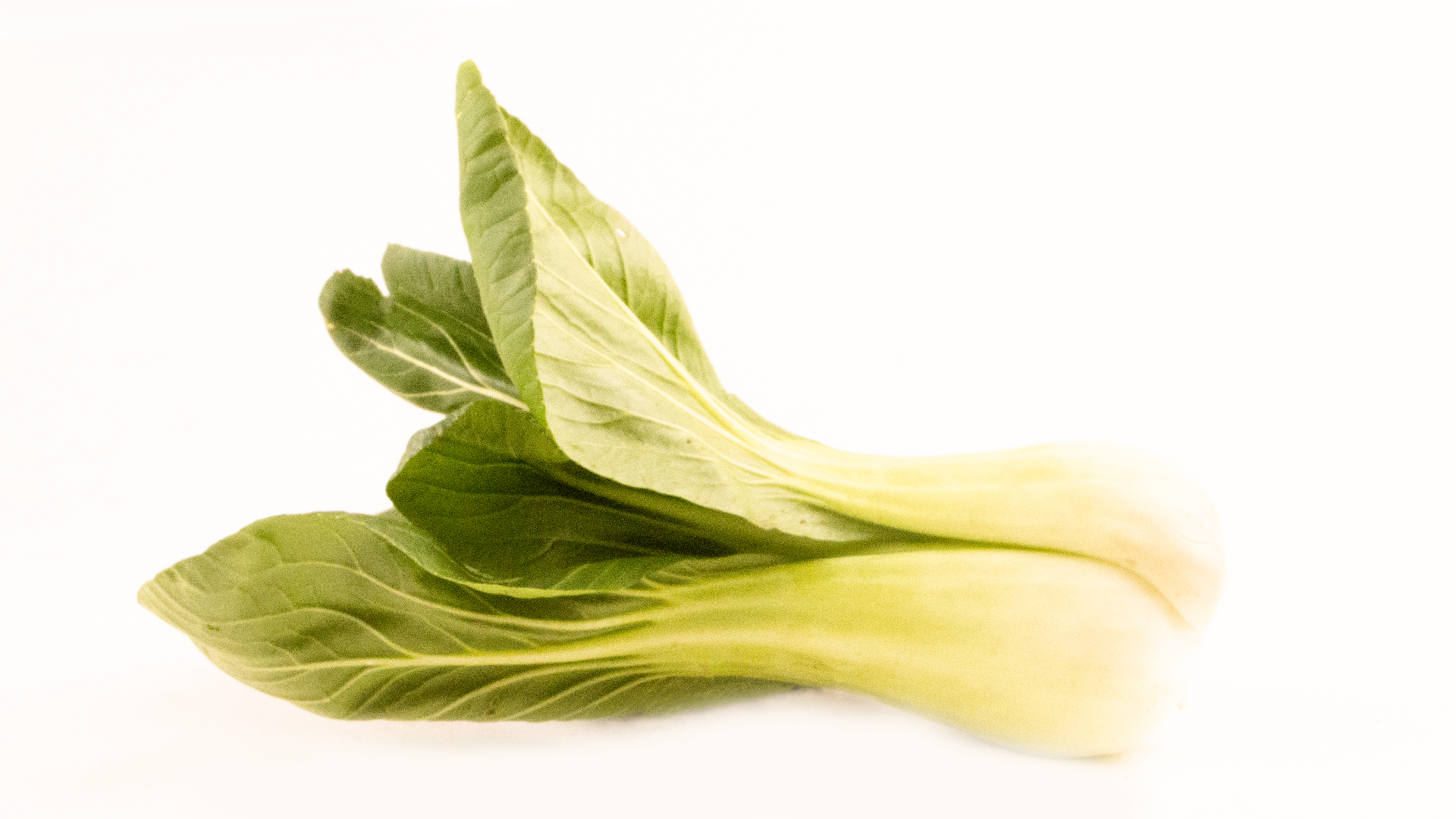 Pak Choi Kiste