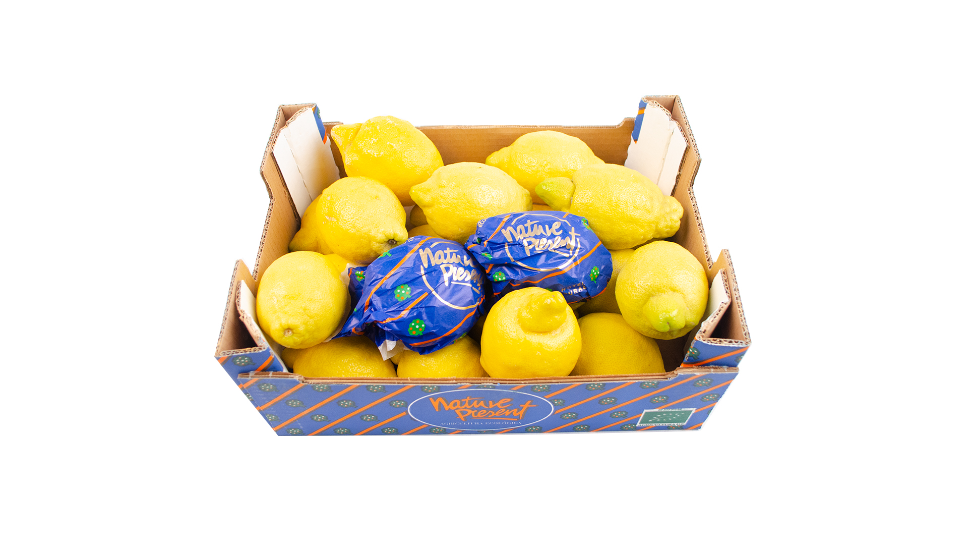 bio-zitronen-verna-gross Bio Zitronen Kiste groß