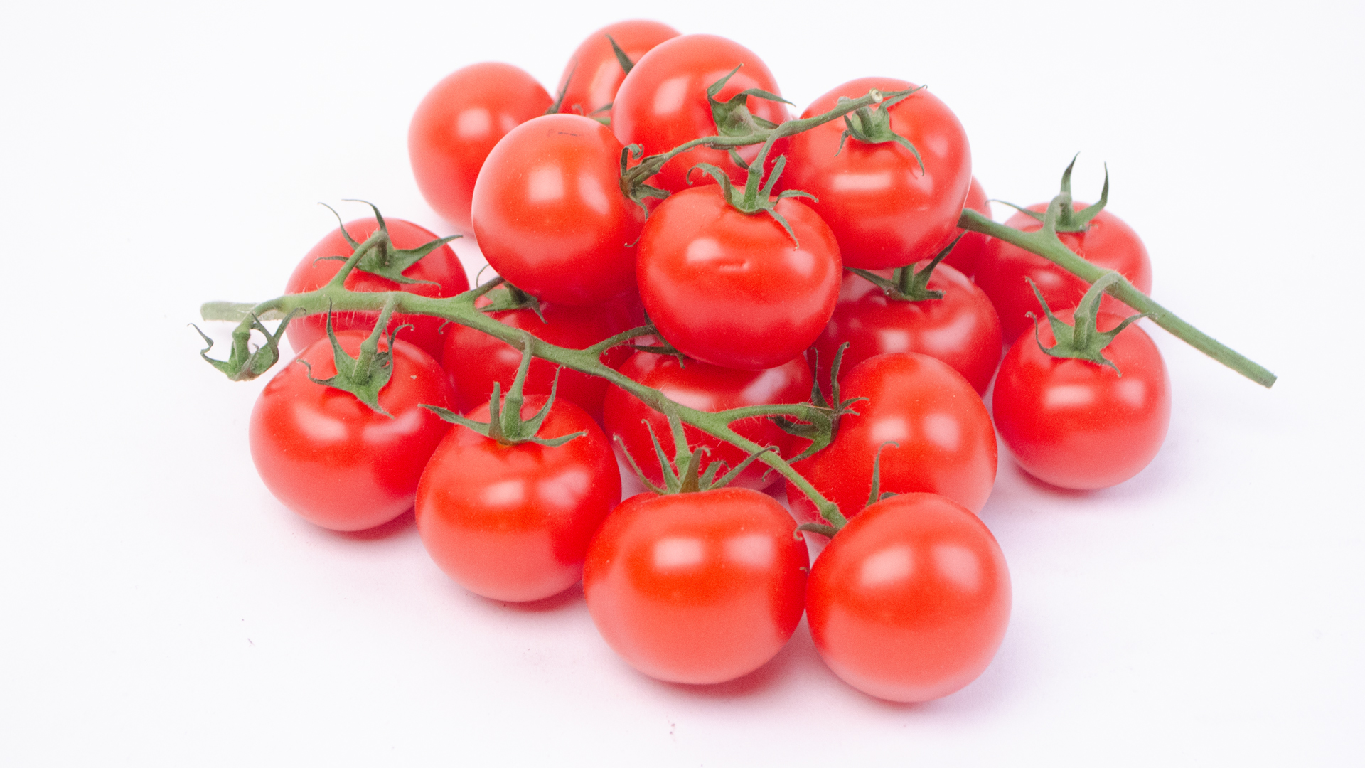 Strauch Tomate klein DE