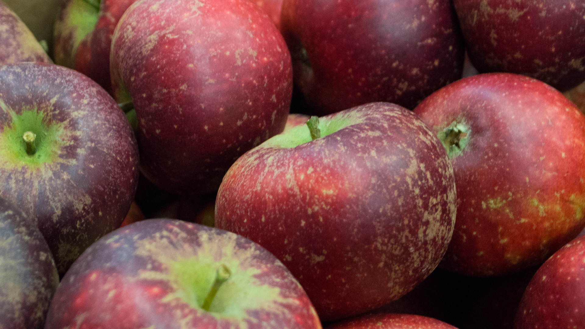 Bio Apfel Ingrid Marie Kiste