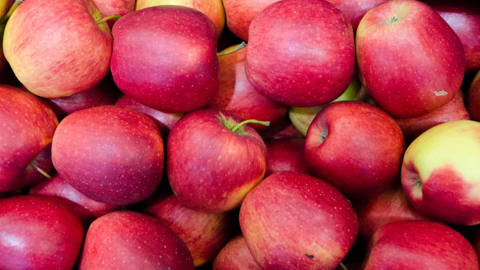 Apfel Pinova online bestellen bei Vegansnacks.de