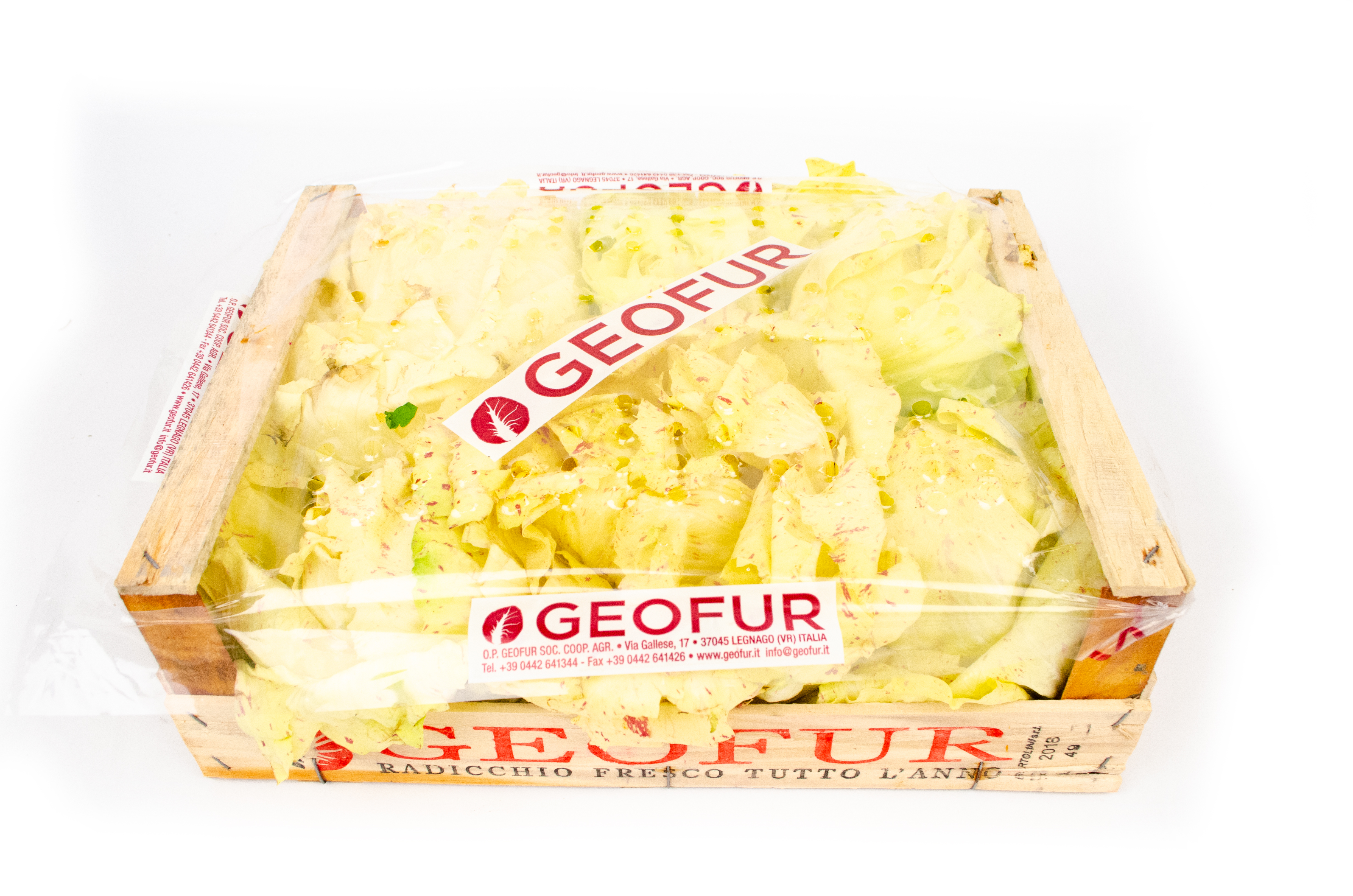 Castel-Franco-Geofur-Radicchio Castel Franco Kiste