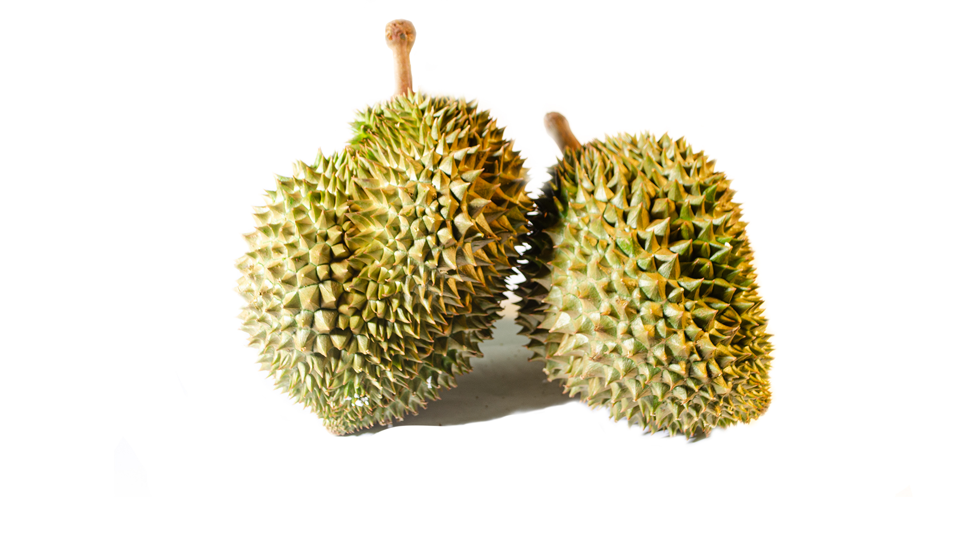 Durian