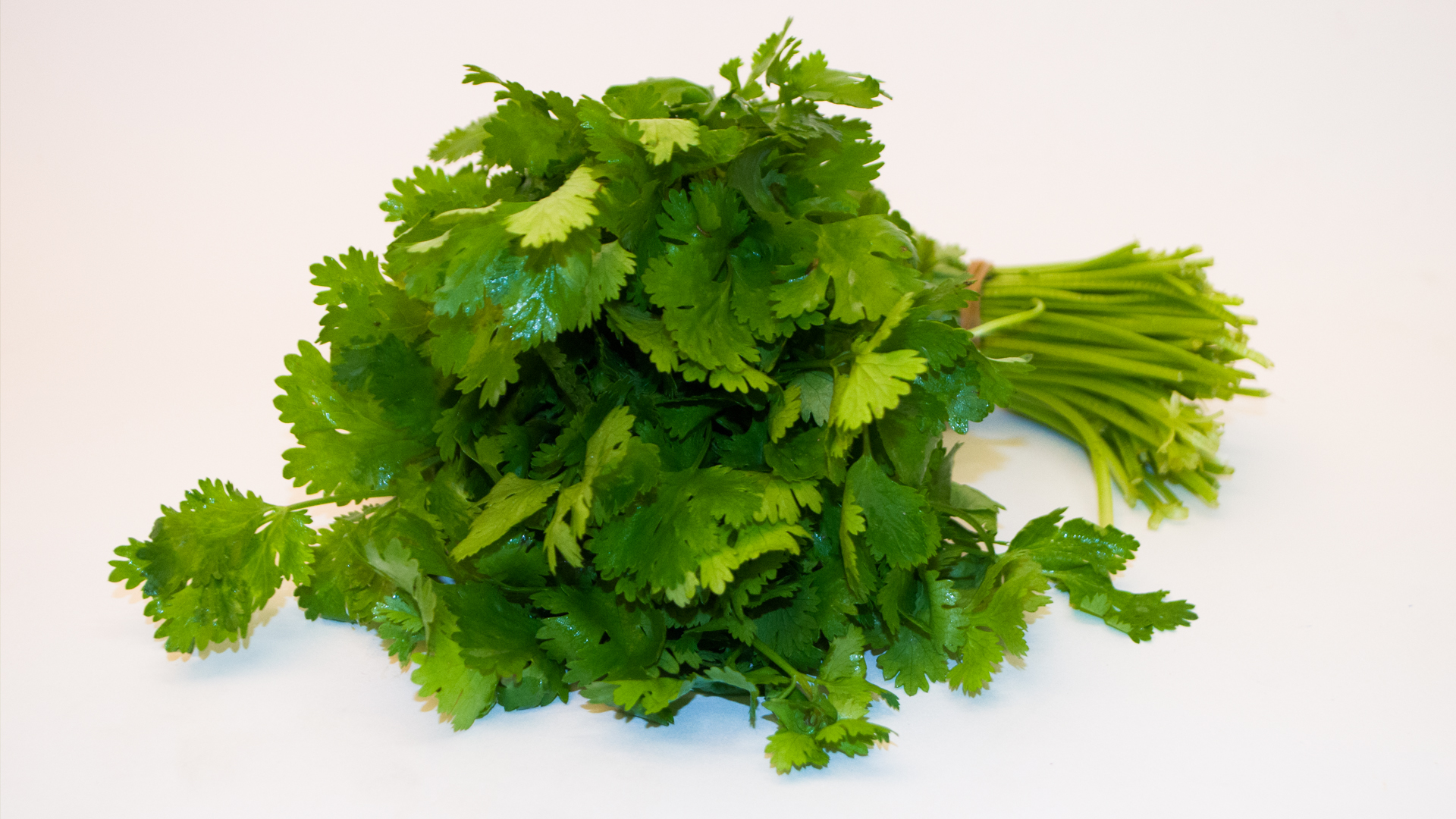 kerbel-bund Kerbel Bund