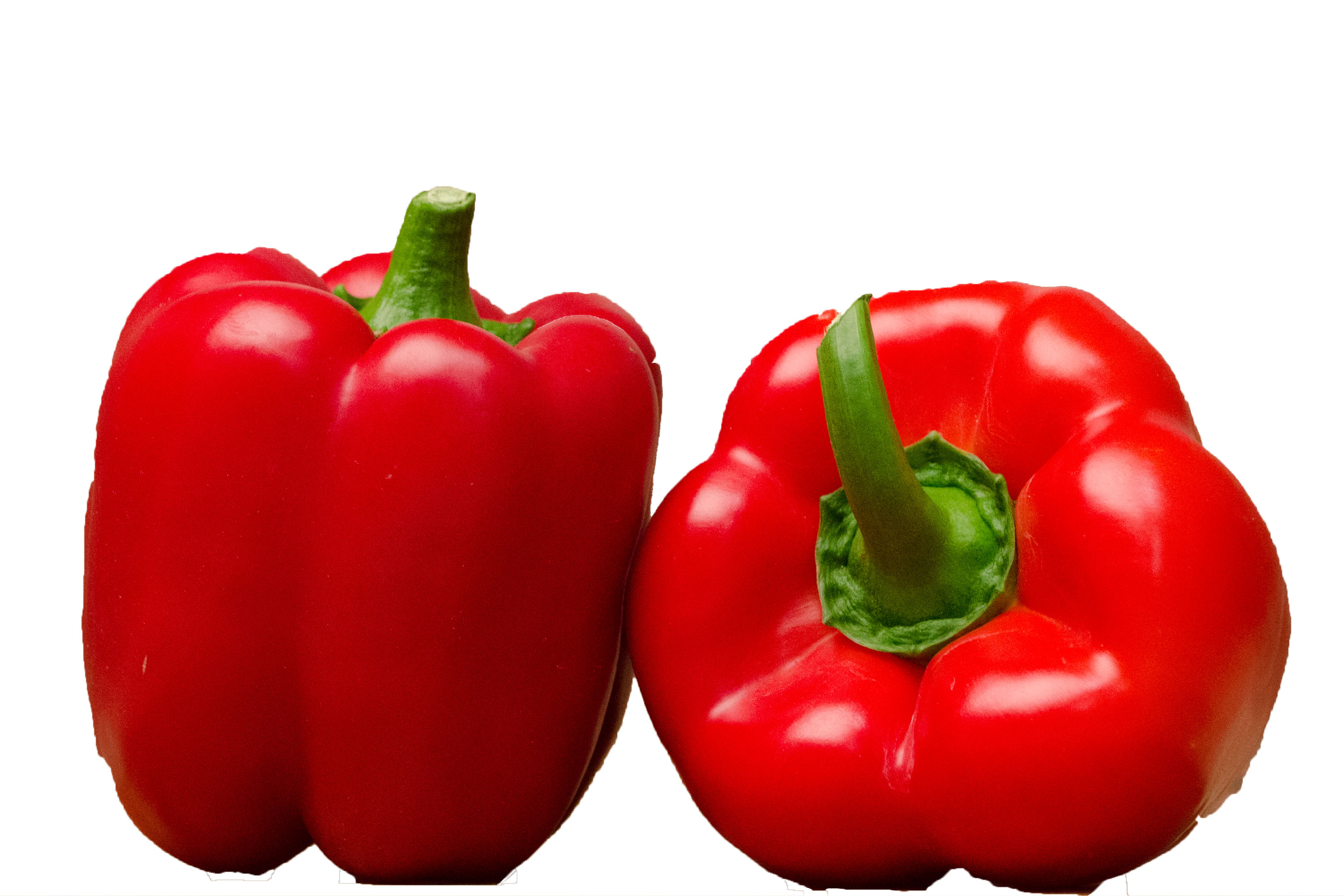 Paprika rot