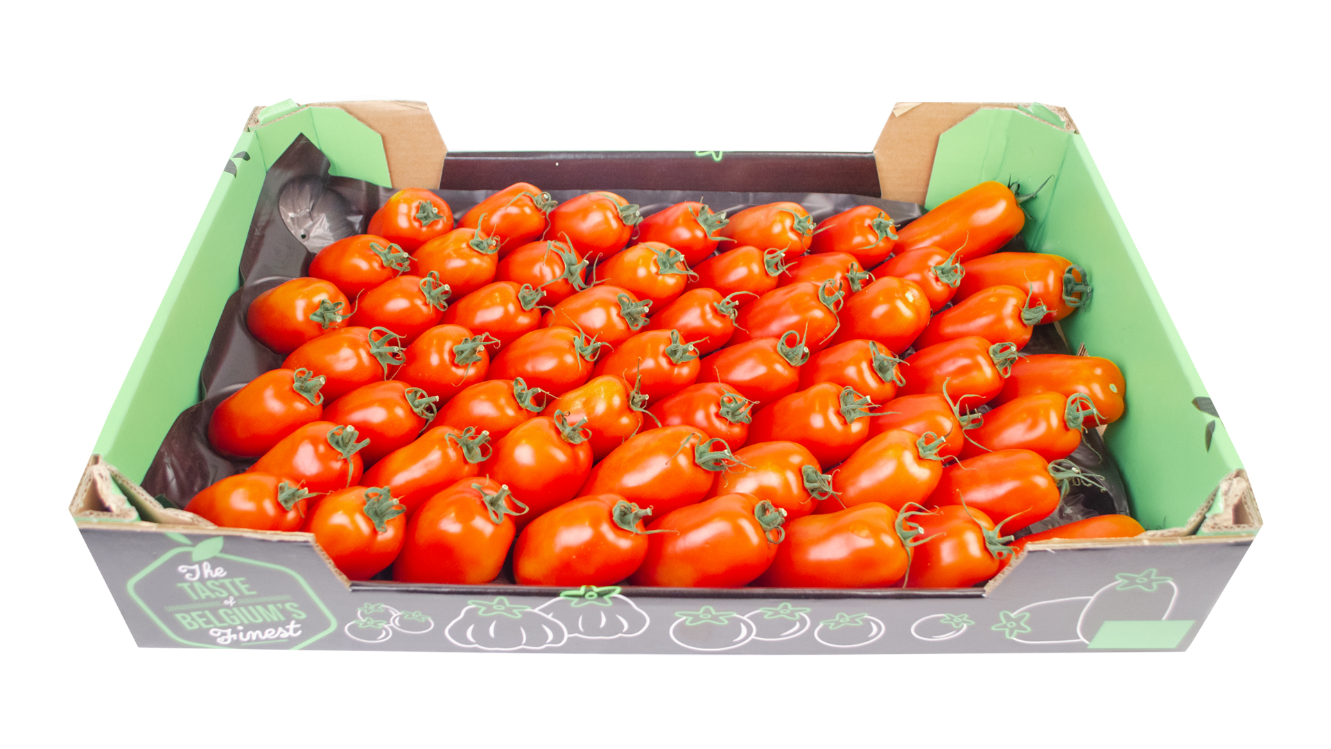 Tomaten San Marzano Roma Art Kiste