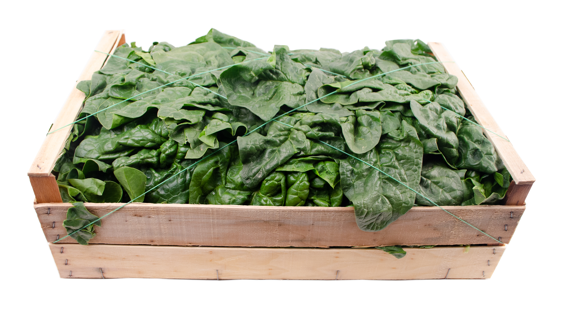 spinat-grob-kiste Spinat grob Kiste