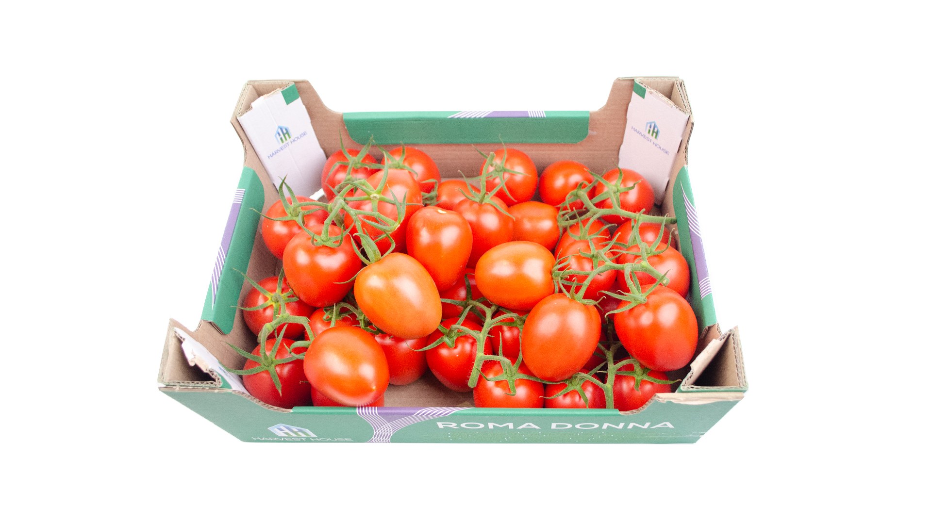 Tomaten Roma Donna "Strauch" NL